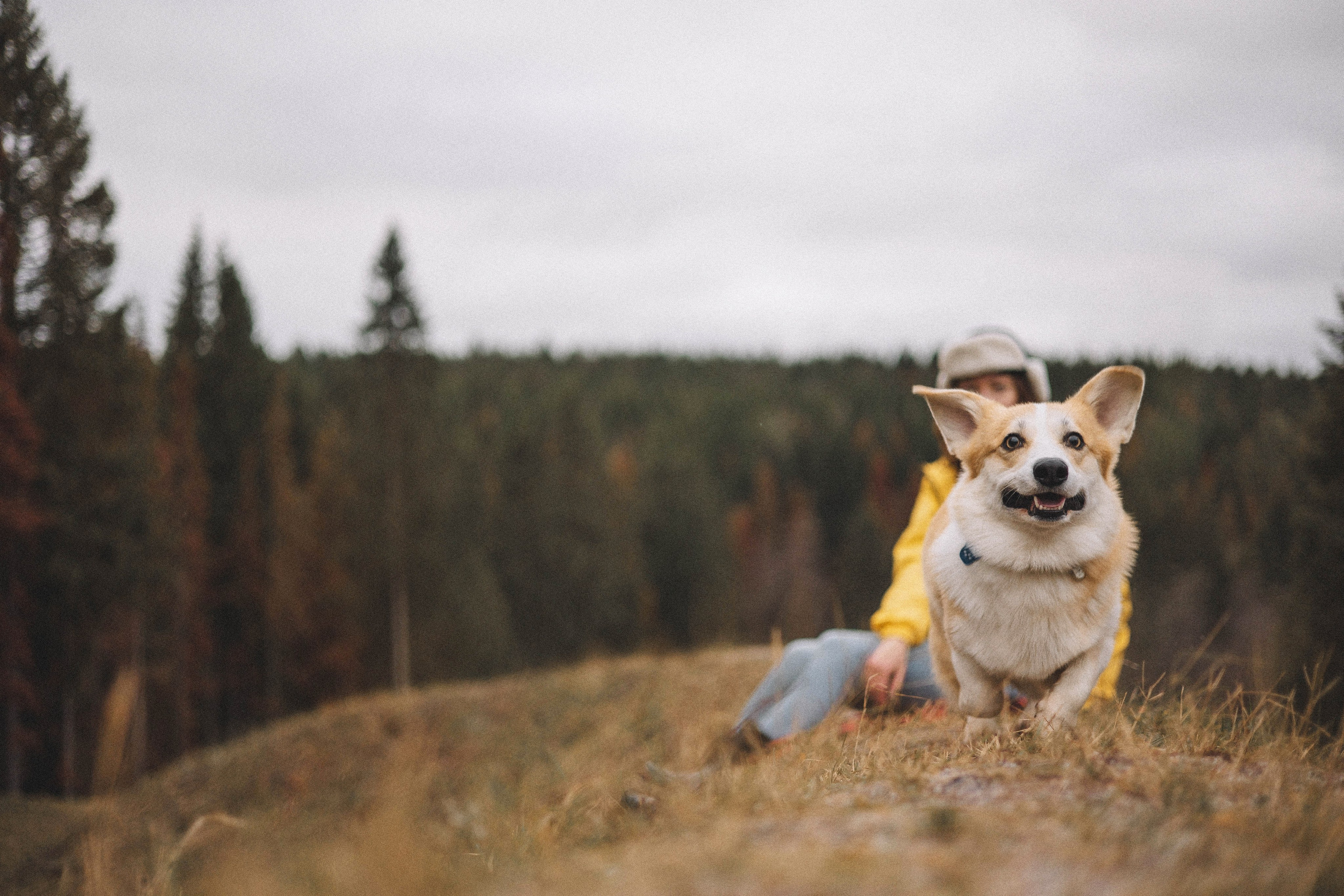Юля и барри. Фотограф-анималист Богданова Полина