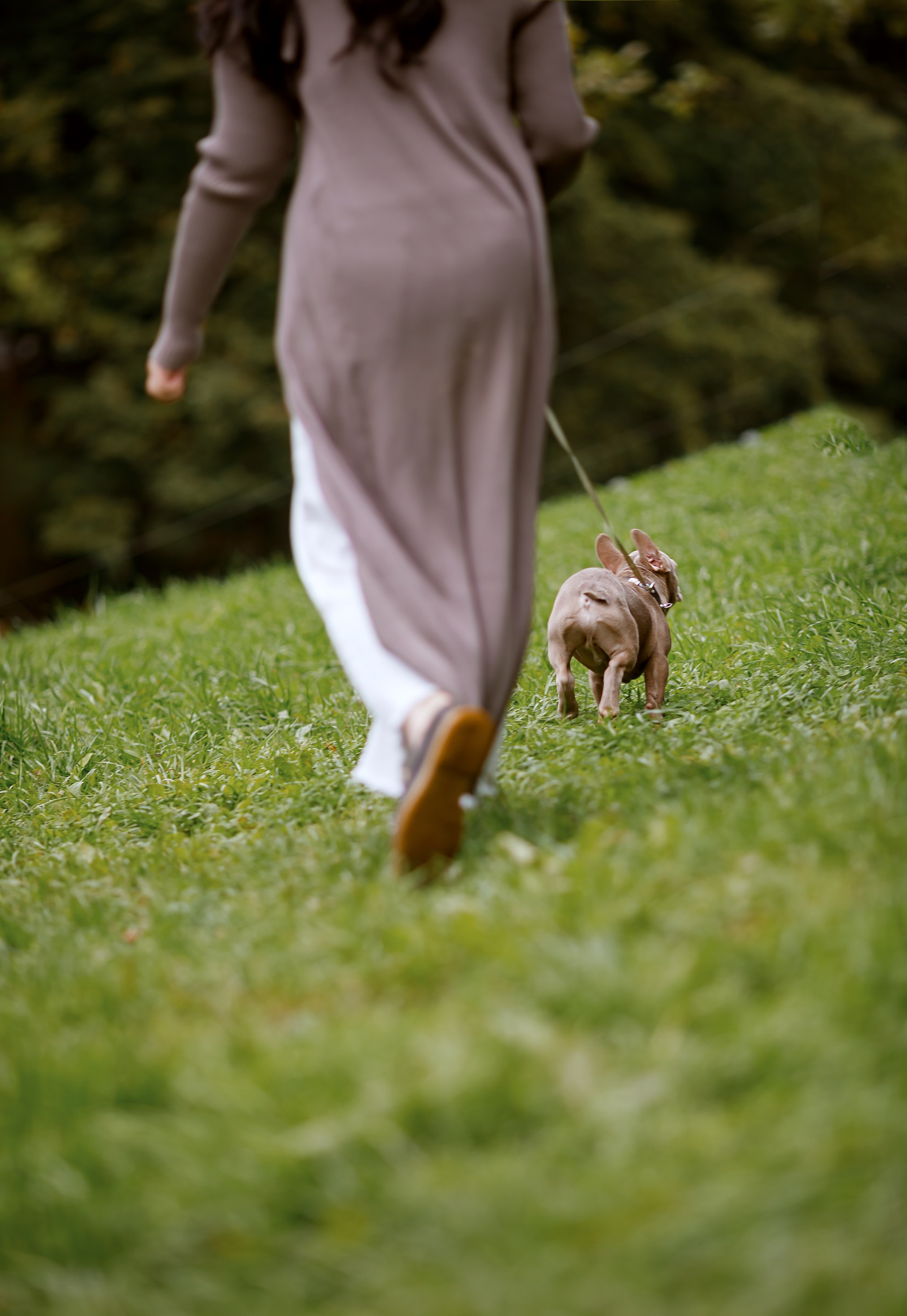 Фотопрогулка с питомцем. Анна и Мотя. Не просто красивые фотографии, а ваши лучшие кадры!