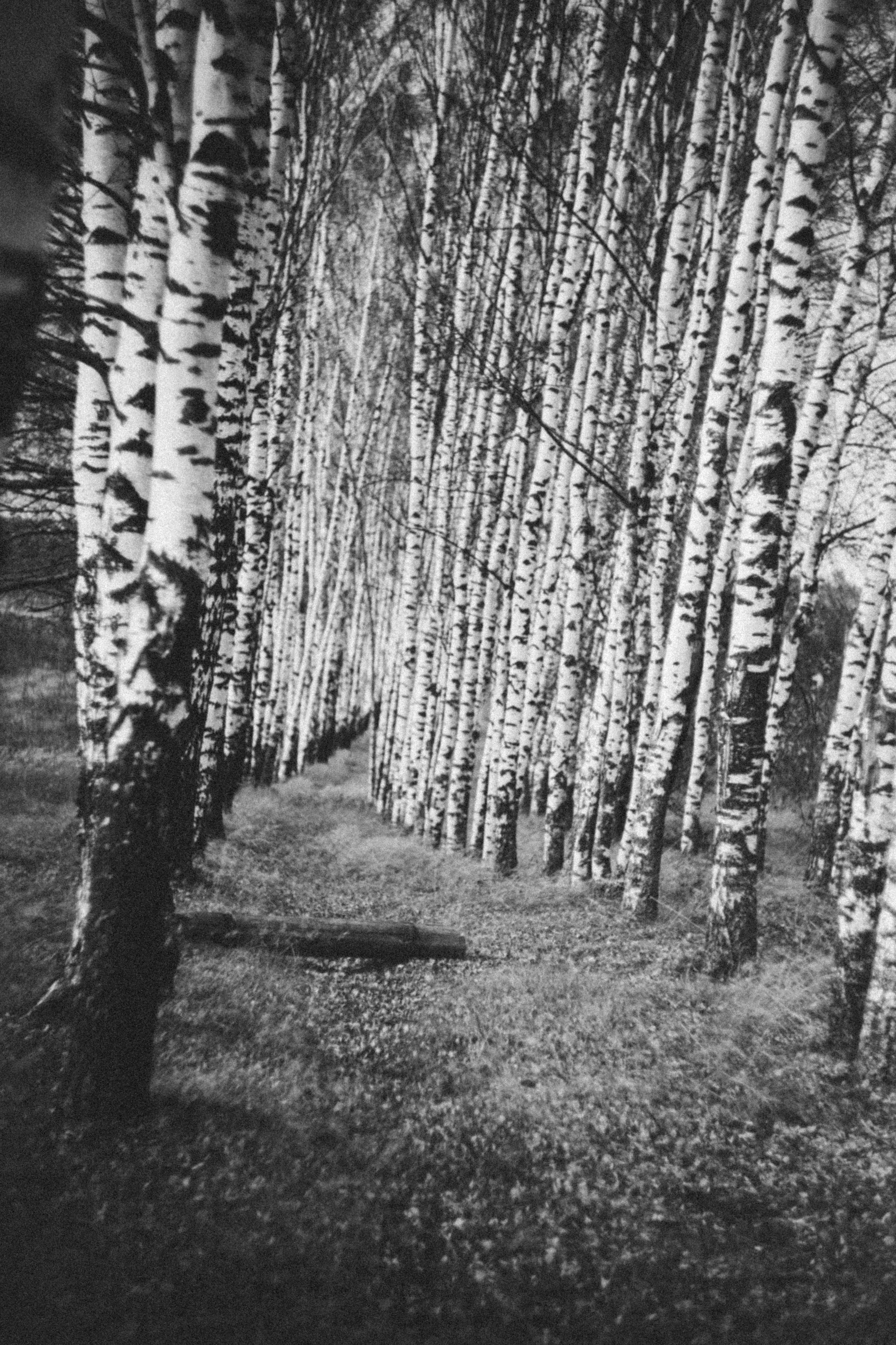 Алиса+ Алёна. Фотограф в Нижнем Новгороде