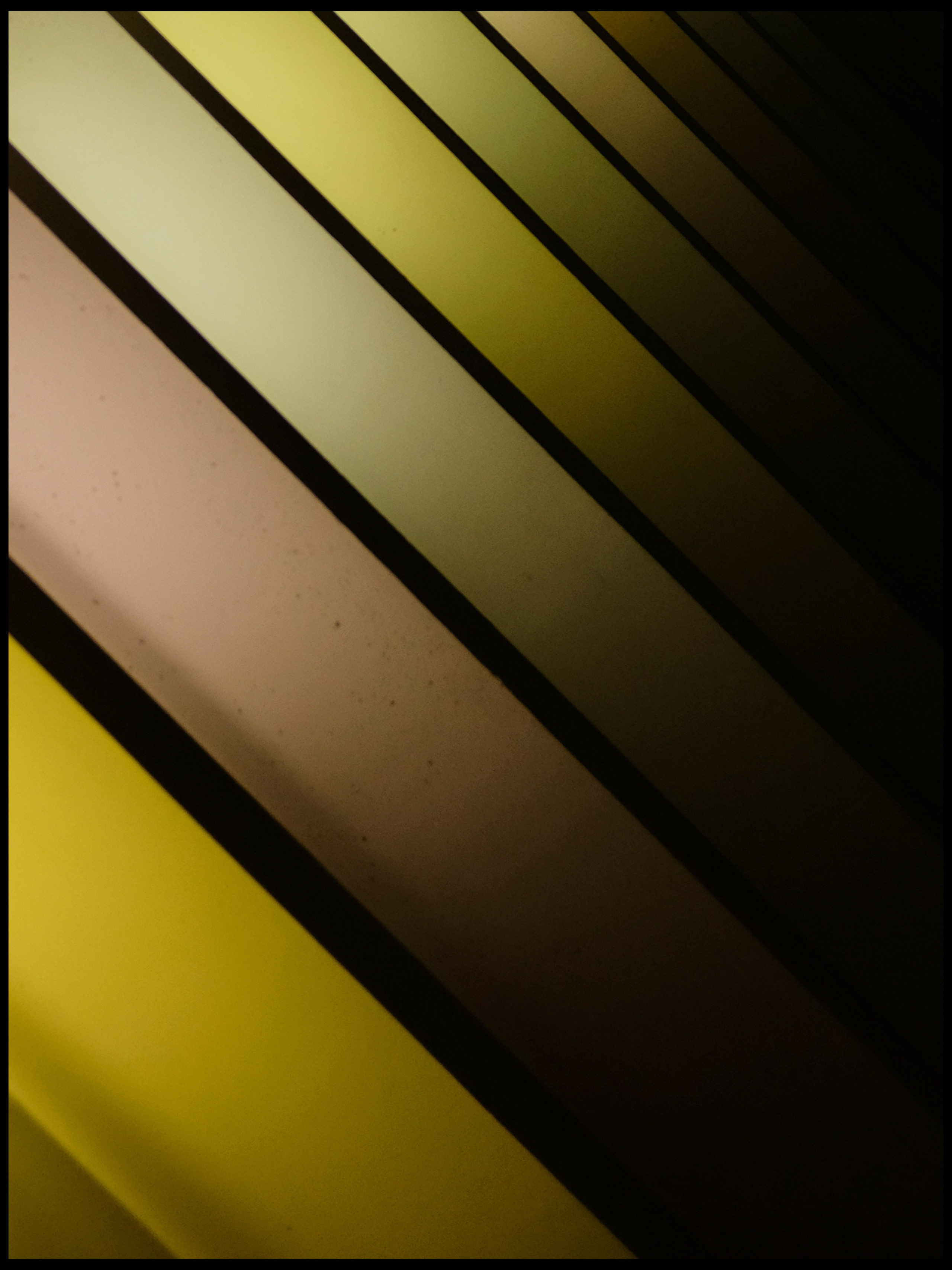 RODINA. Ivan Petrov photographer