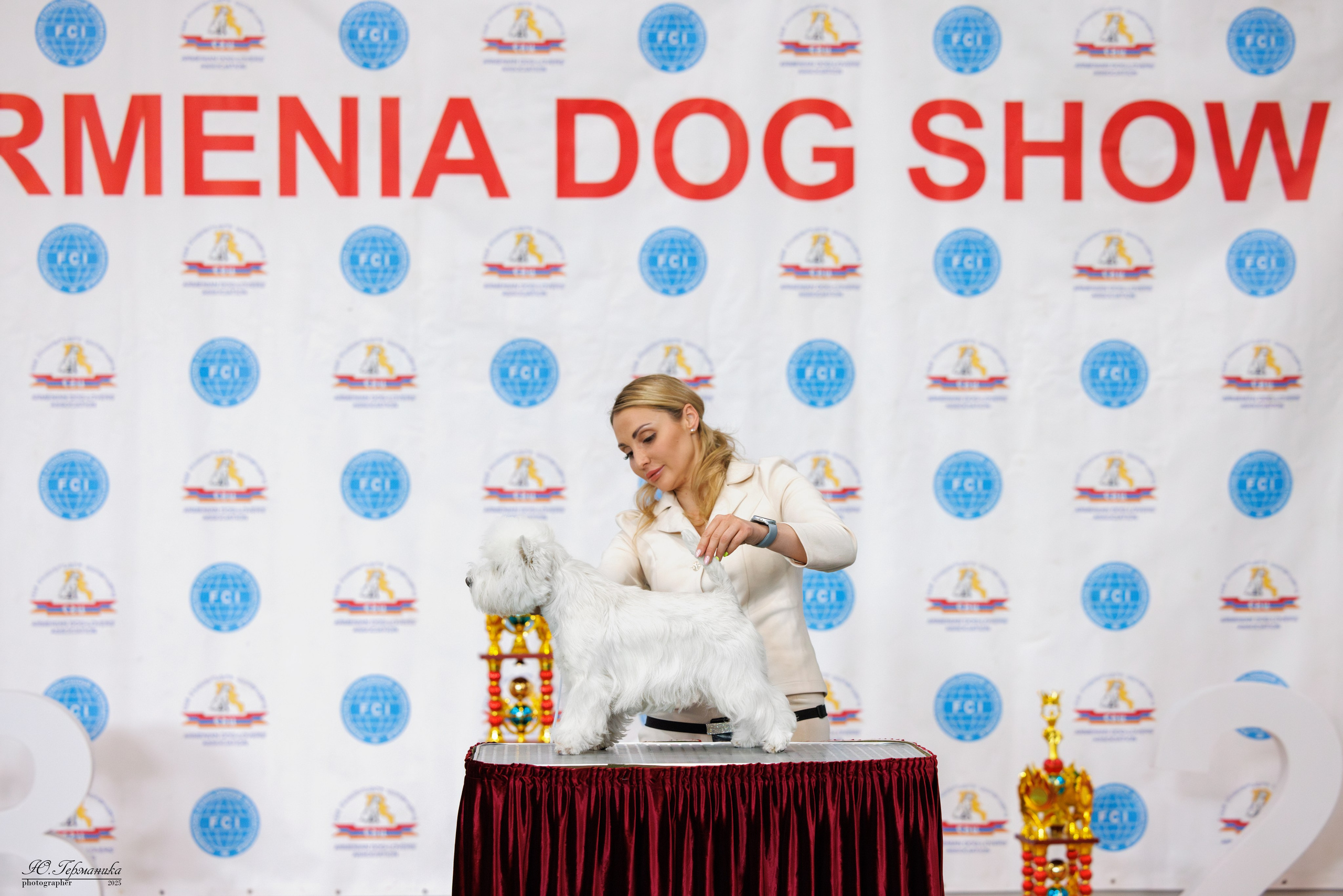 Ереван 2х CACIB 29-30.04.2025. Фотограф-анималист Юлия Германика