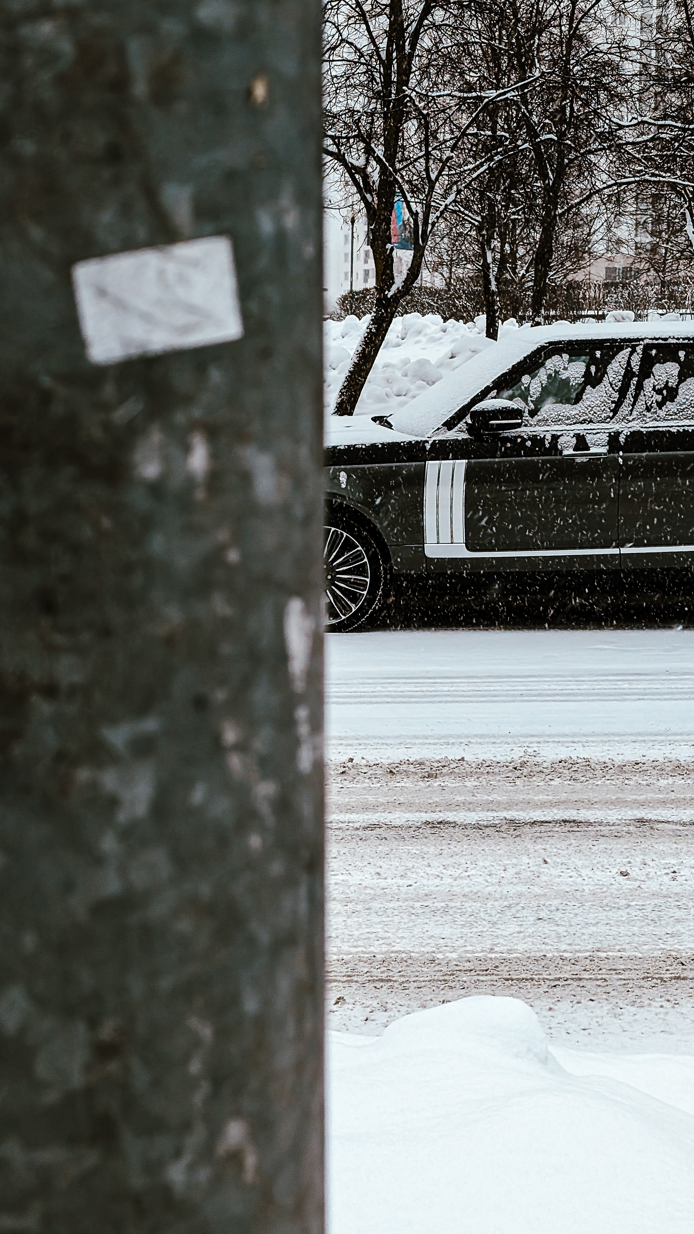Мобильная фотография. Интерьерный и портретный фотограф в Москве Анна Моногарова