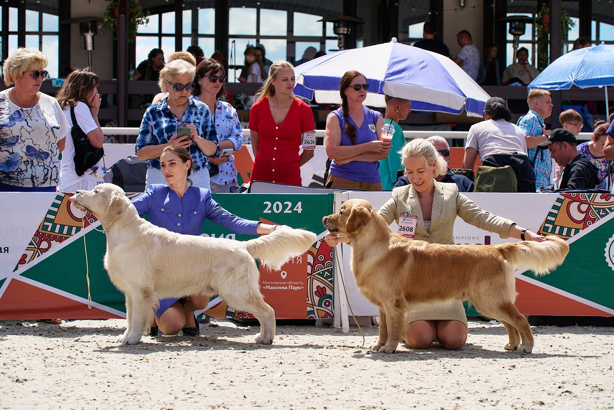 09.06.2024, «РОССИЯ. КУБОК МОСКВЫ 2024 & КУБОК ГОРОДОВ-ГЕРОЕВ»