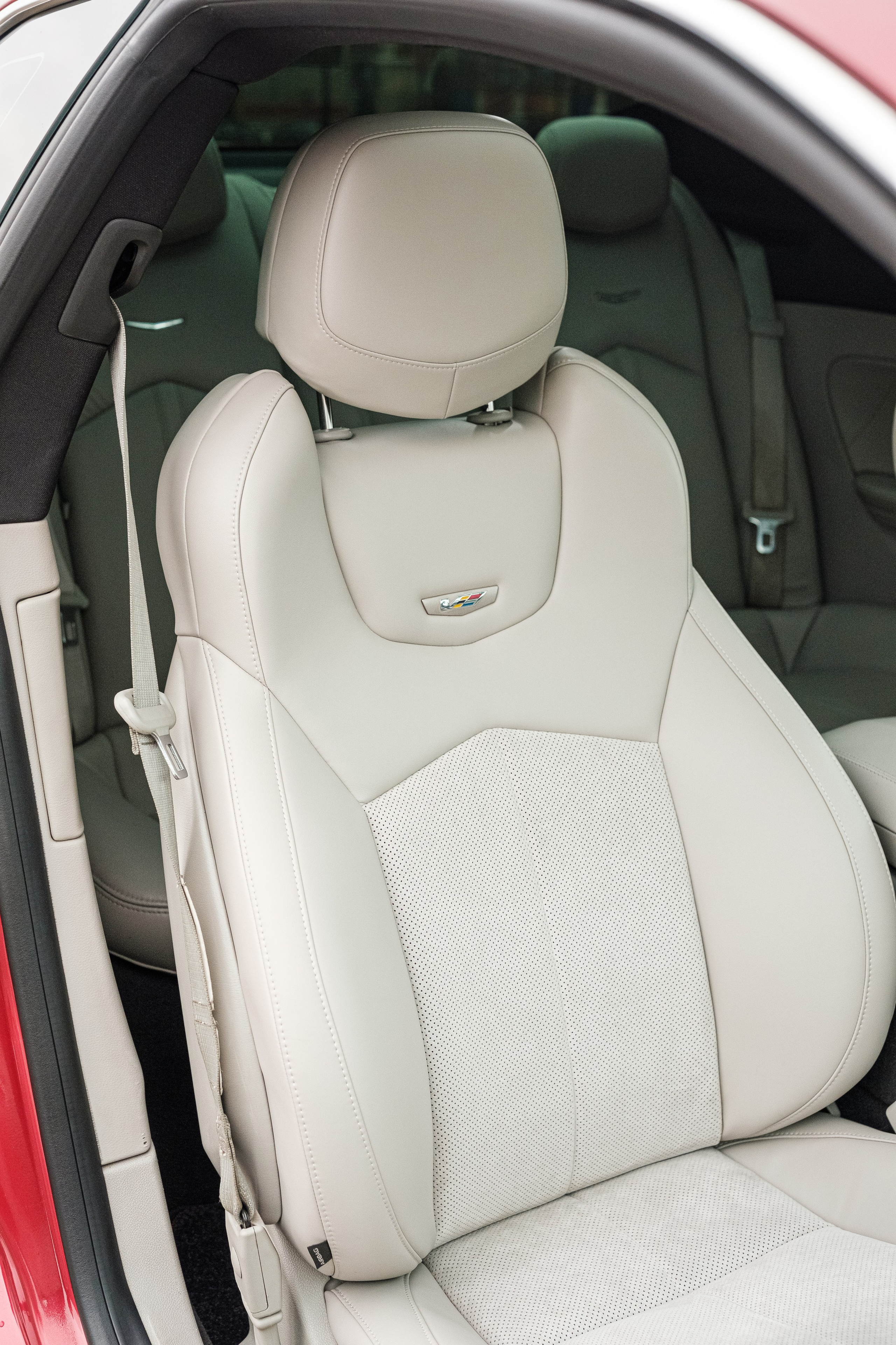 Кэдди. Алексей Никифоров фотограф Москва, Химки