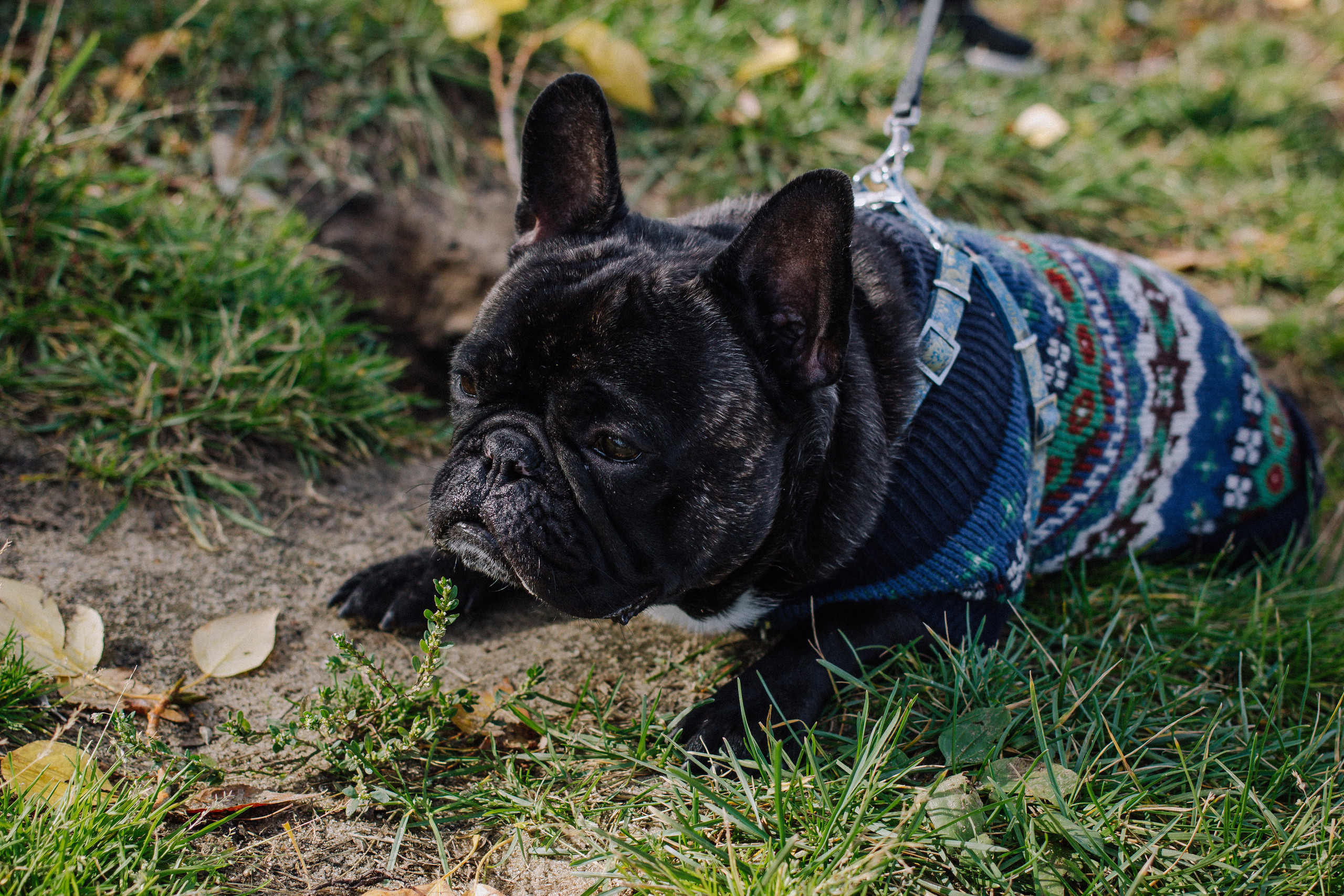 Настя+Миша+Ульяна+Полина+Пирожок. Фотографии с любовью