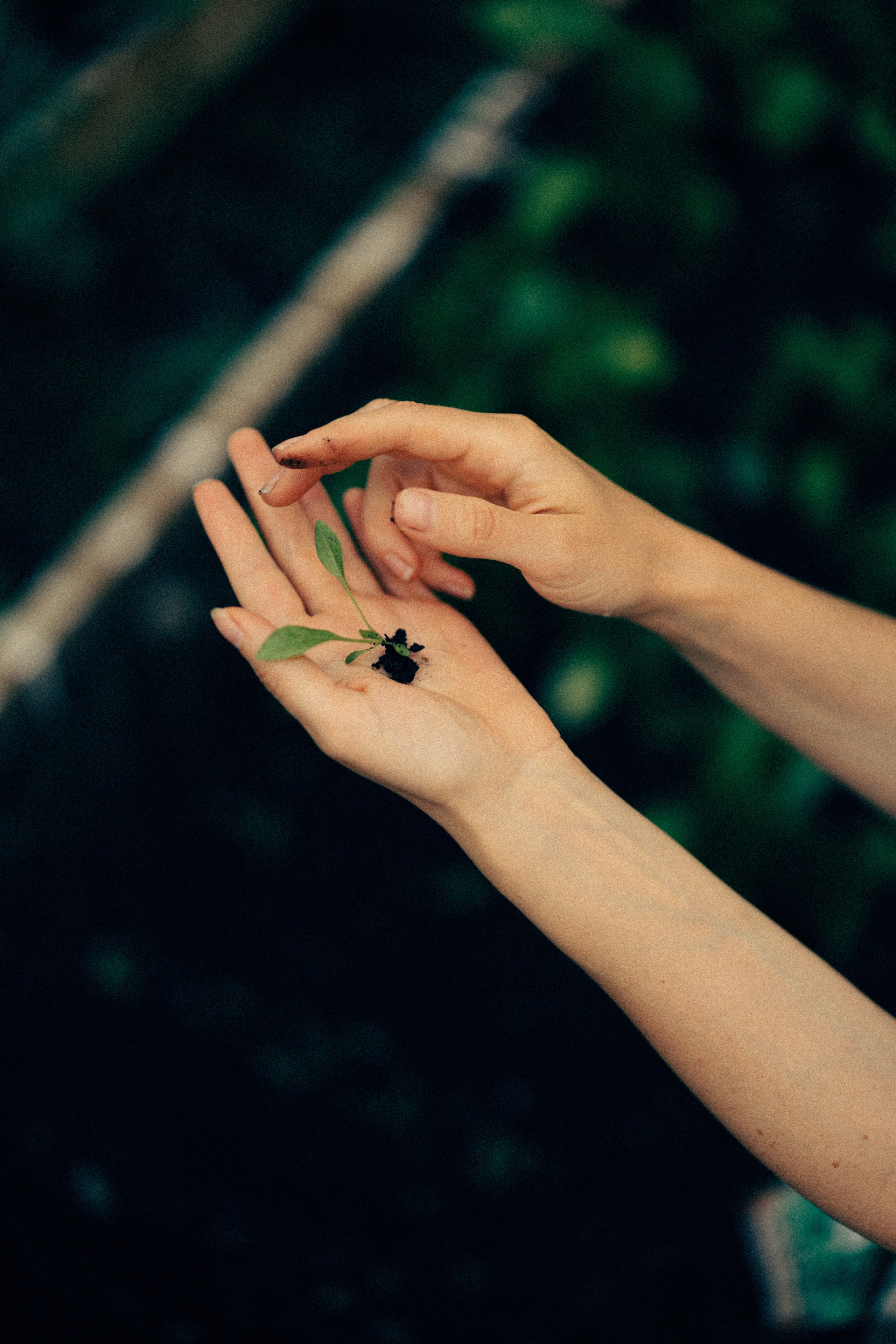 Обжитое. Daria Chigintseva Photographer