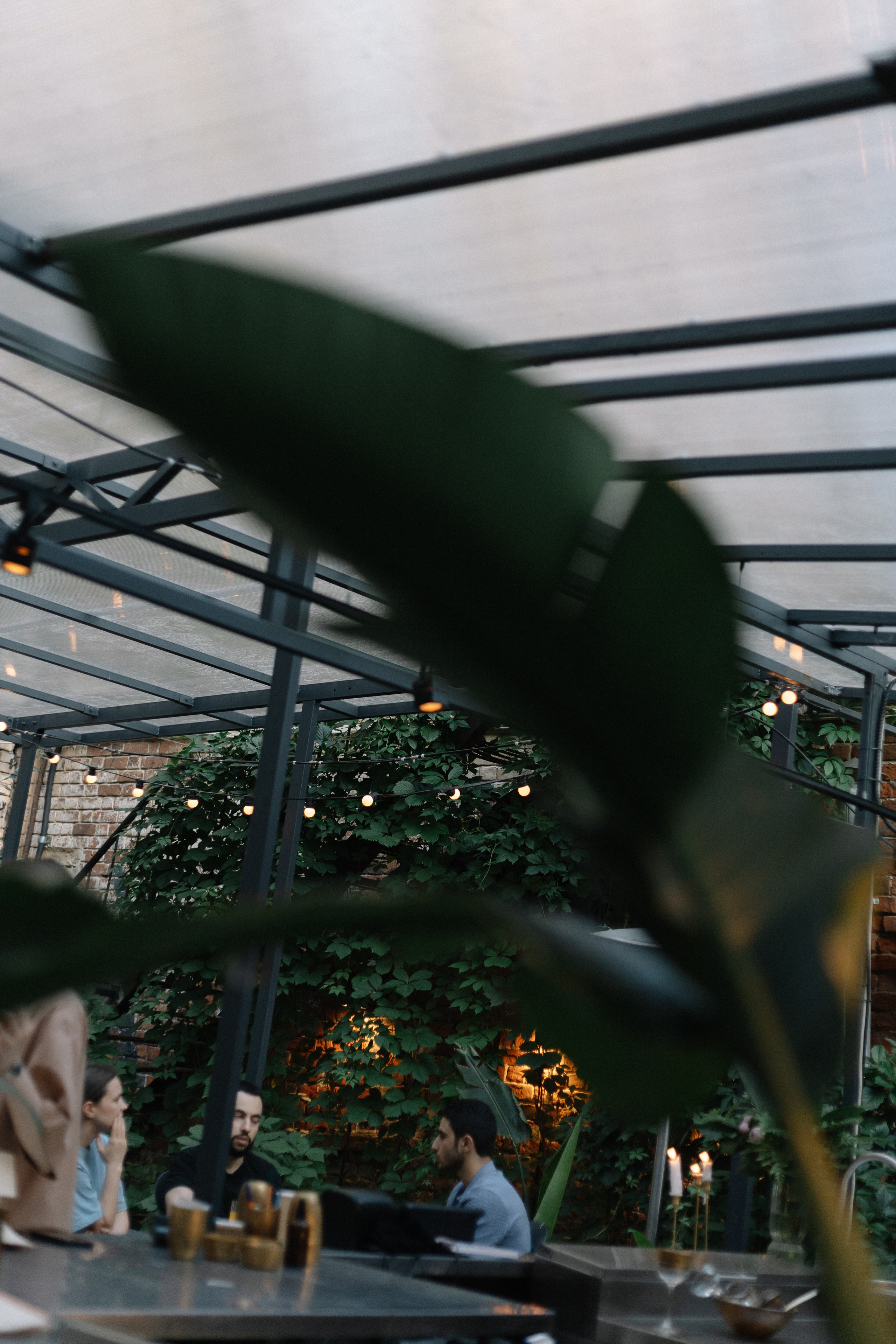 День рождения в Цейлоне — Алена ✨. Свадебный фотограф в Нижнем Новгороде Генеральская Ира