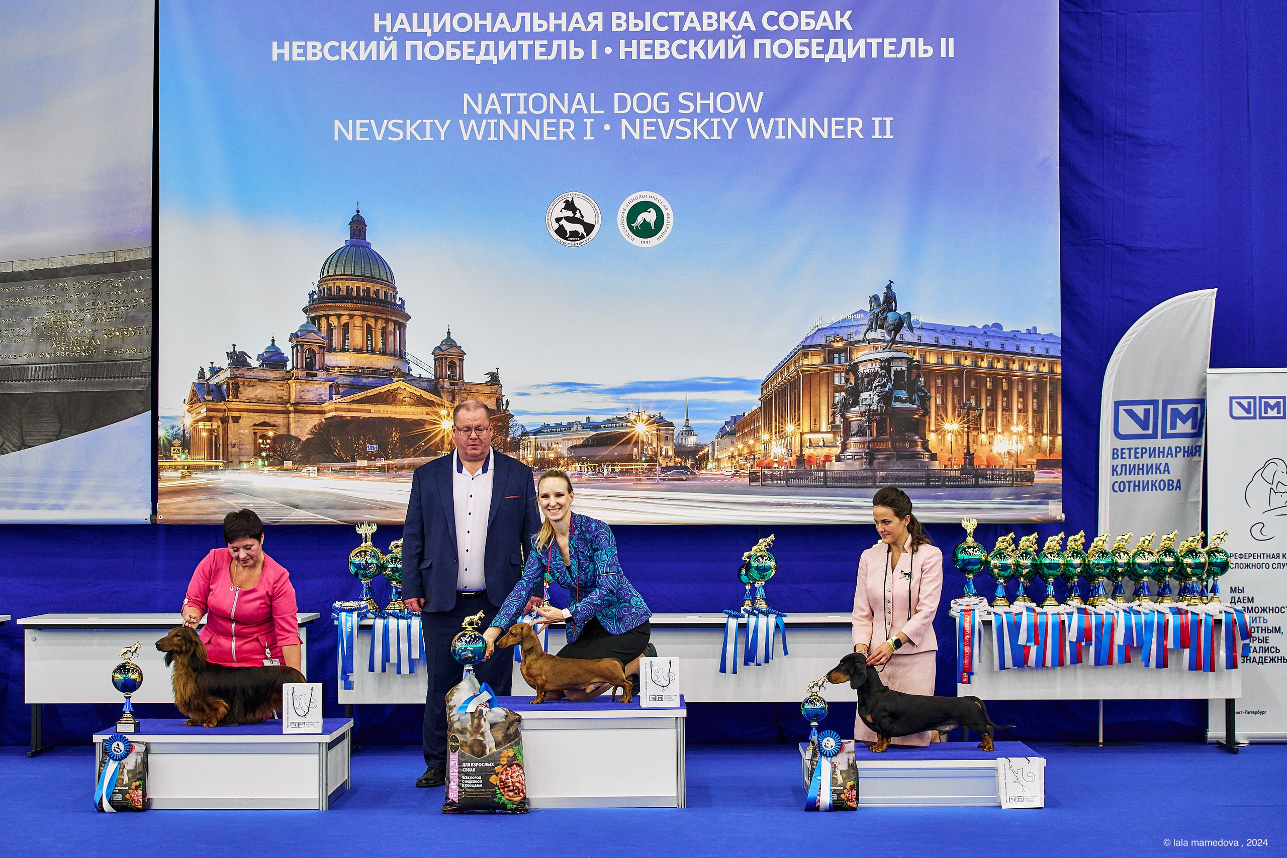 РЕЙТИНГОВАЯ ВЫСТАВКА СОБАК ВСЕХ ПОРОД С ОСОБЫМ СТАТУСОМ"НЕВСКИЙ ПОБЕДИТЕЛЬ-2024-1"