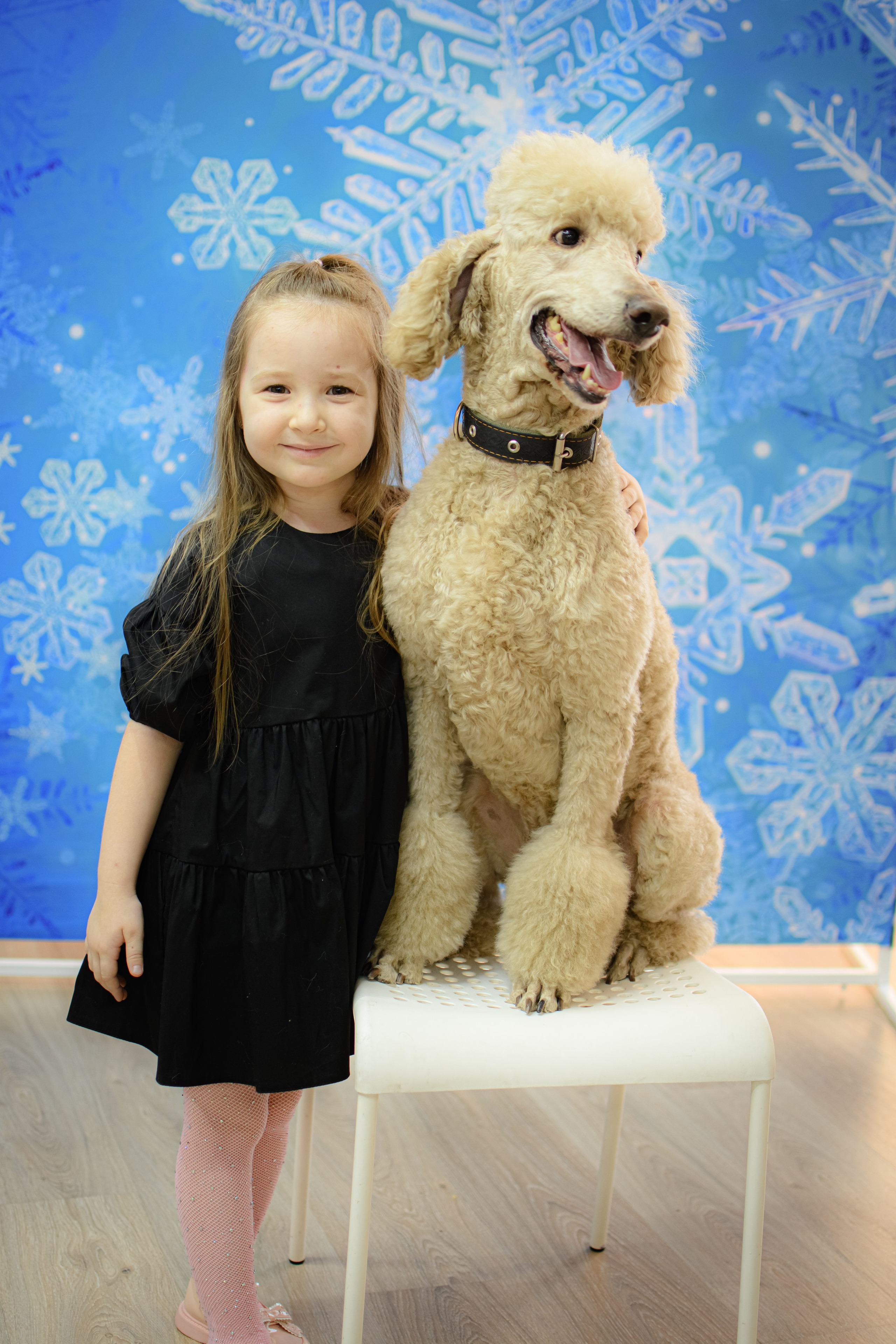 HAPPY NEW YEAR. Photokarish