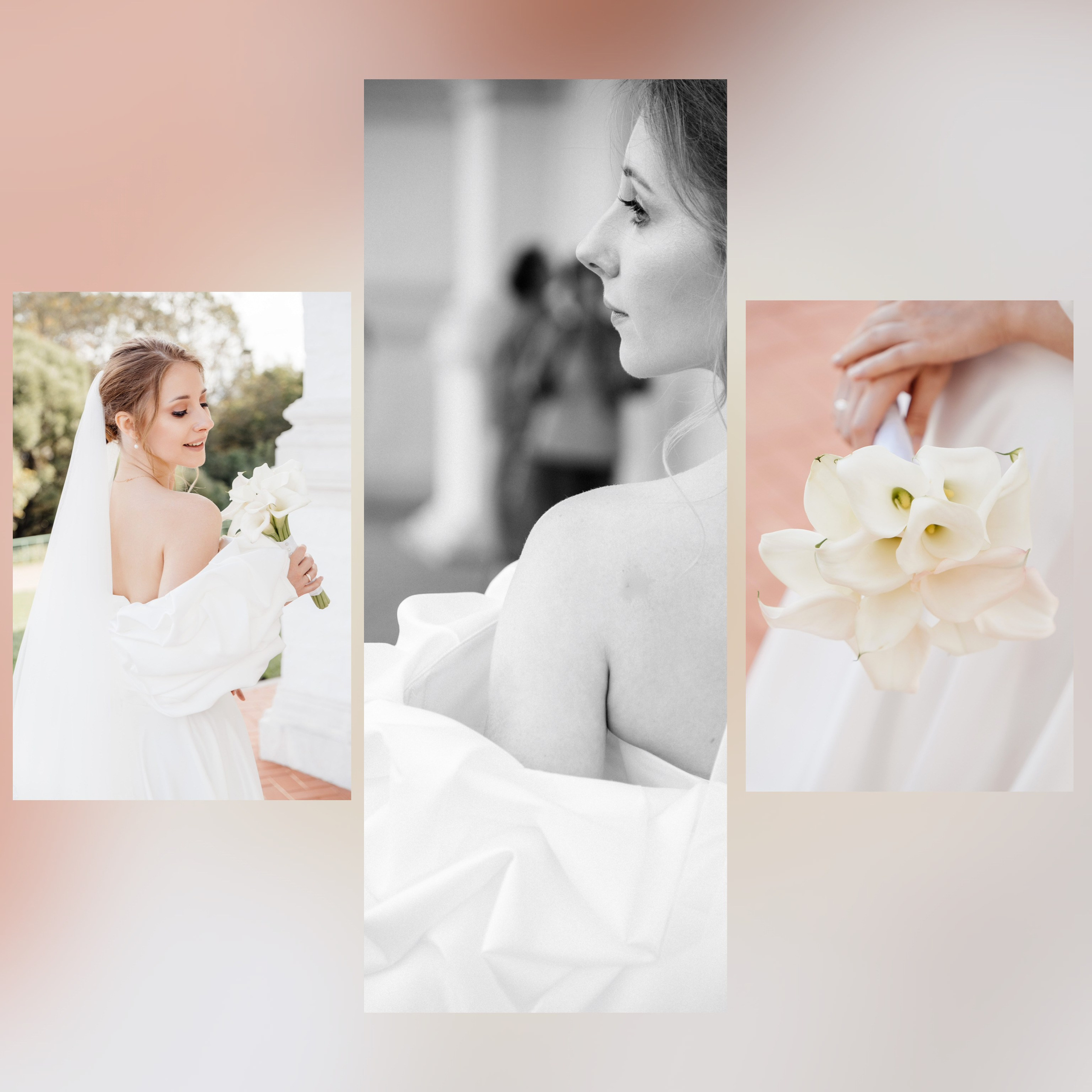 L&D. Свадебный Фотограф в Коломне и Москве Николай Максименко