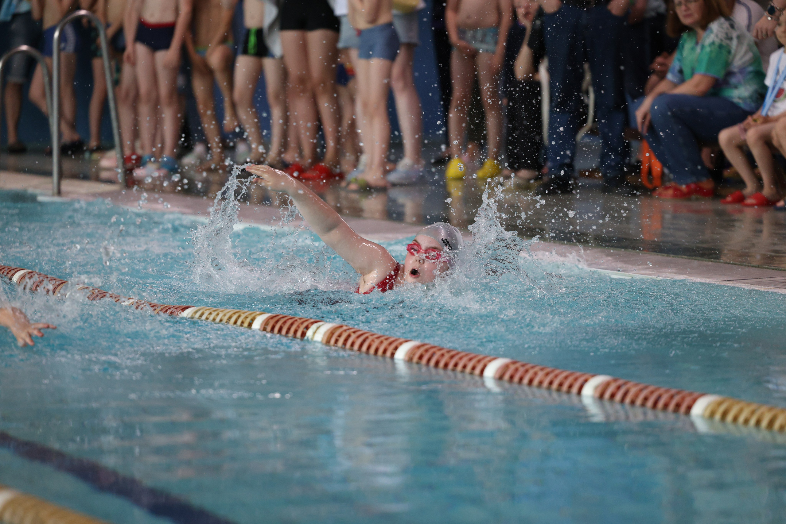Веселый дельфин. Плавание. Дети 8-9 лет. Фотограф Александр Заломаев