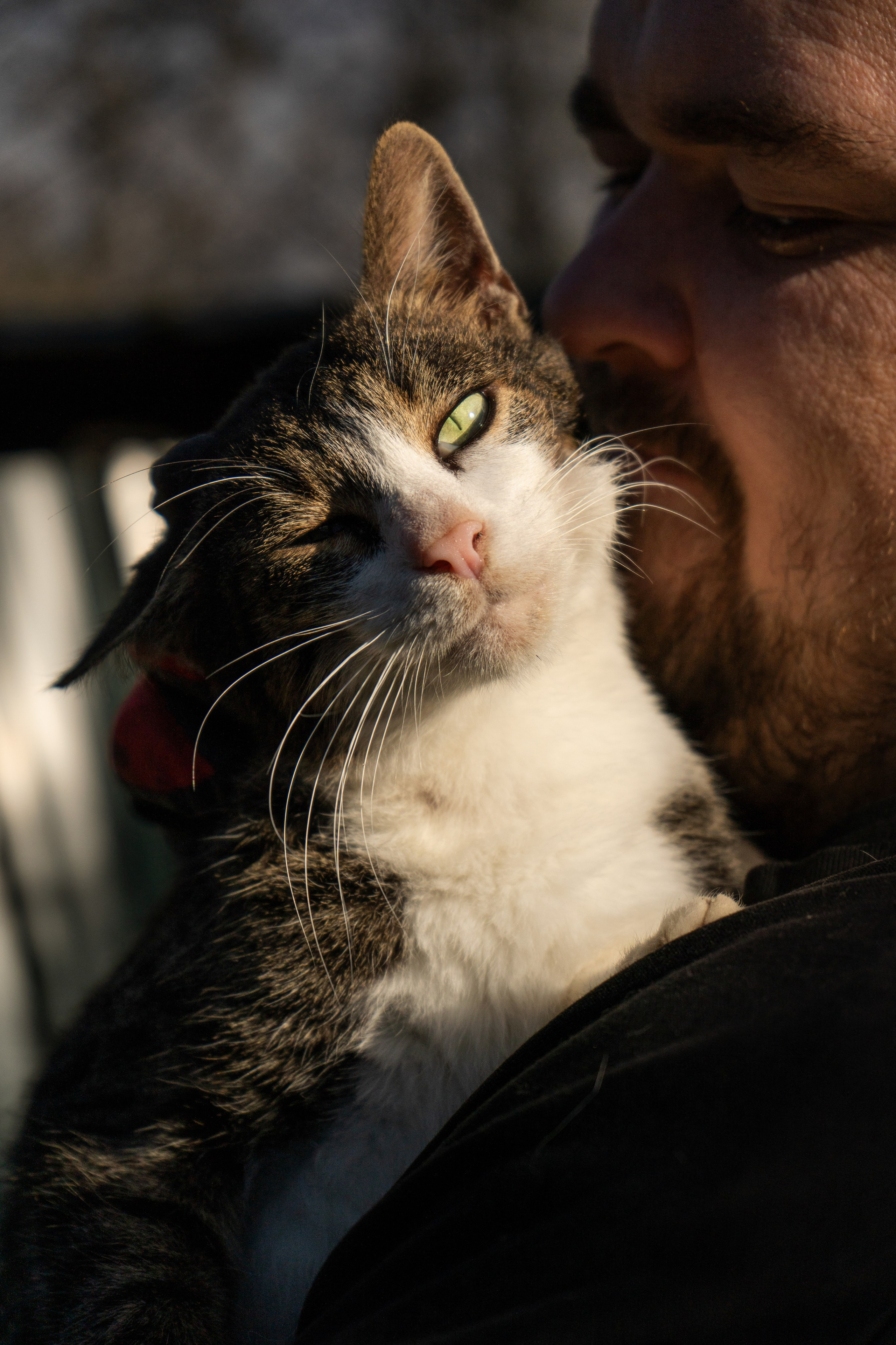 Pets. Makaroshkassirom — photographer in Minsk