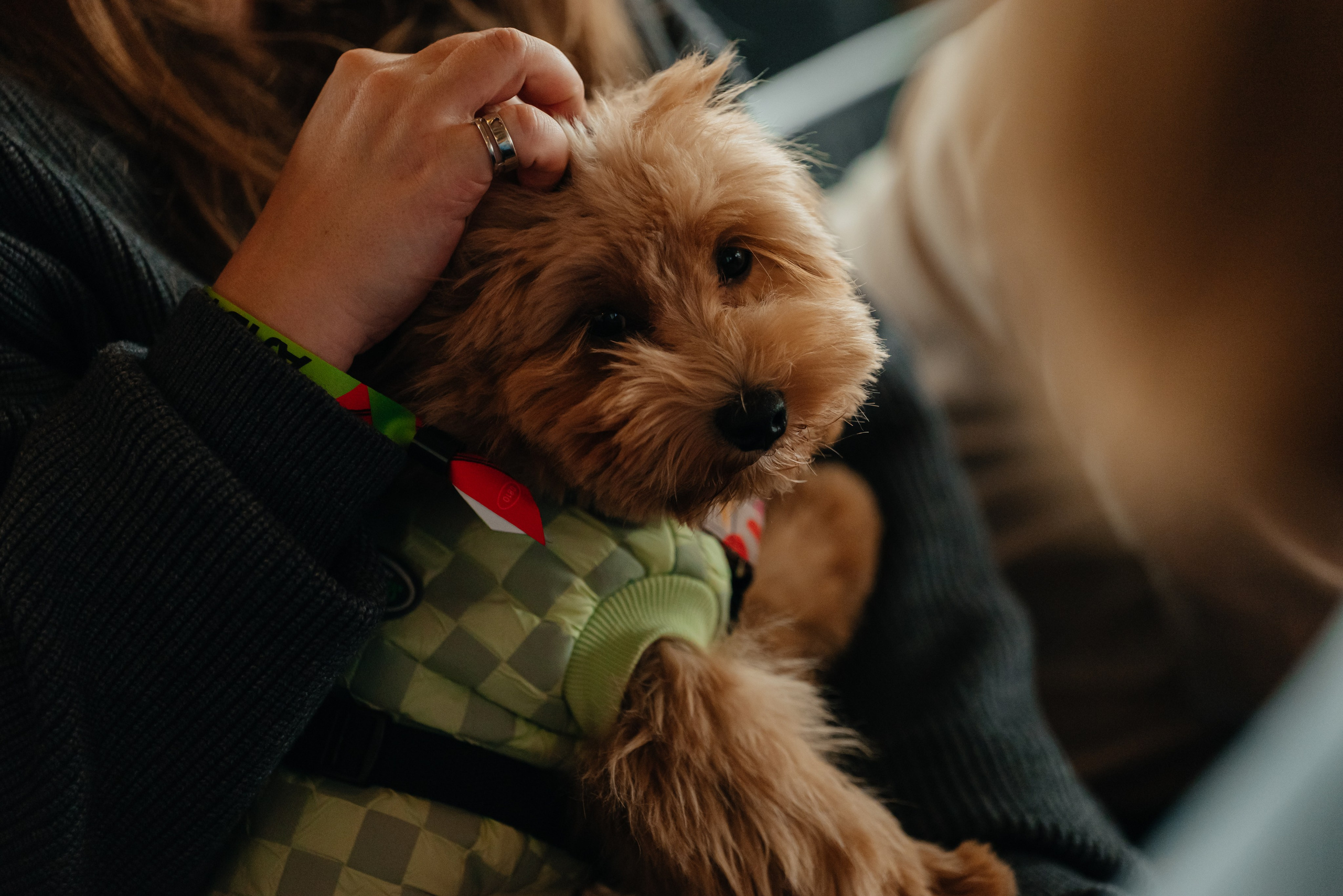 Альфа-банк. Альфа Движ. Репортажный фотограф в Санкт-Петербурге Евгений Перевалов