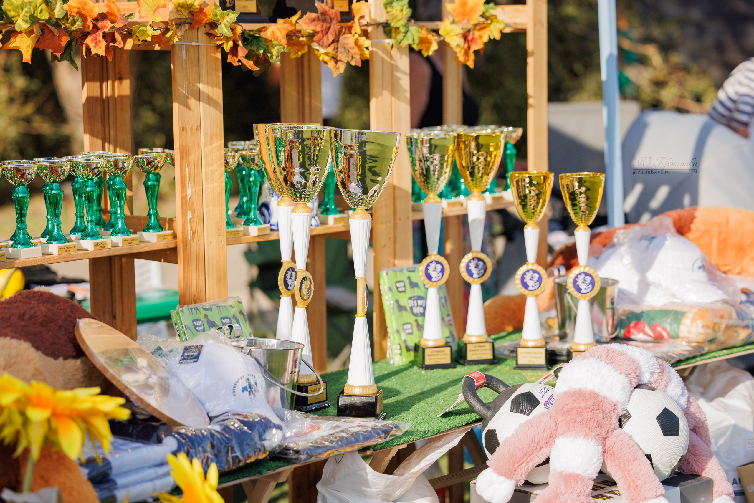 Анапа ротвейлеры 14-15.09.2024. Фотограф-анималист Юлия Германика