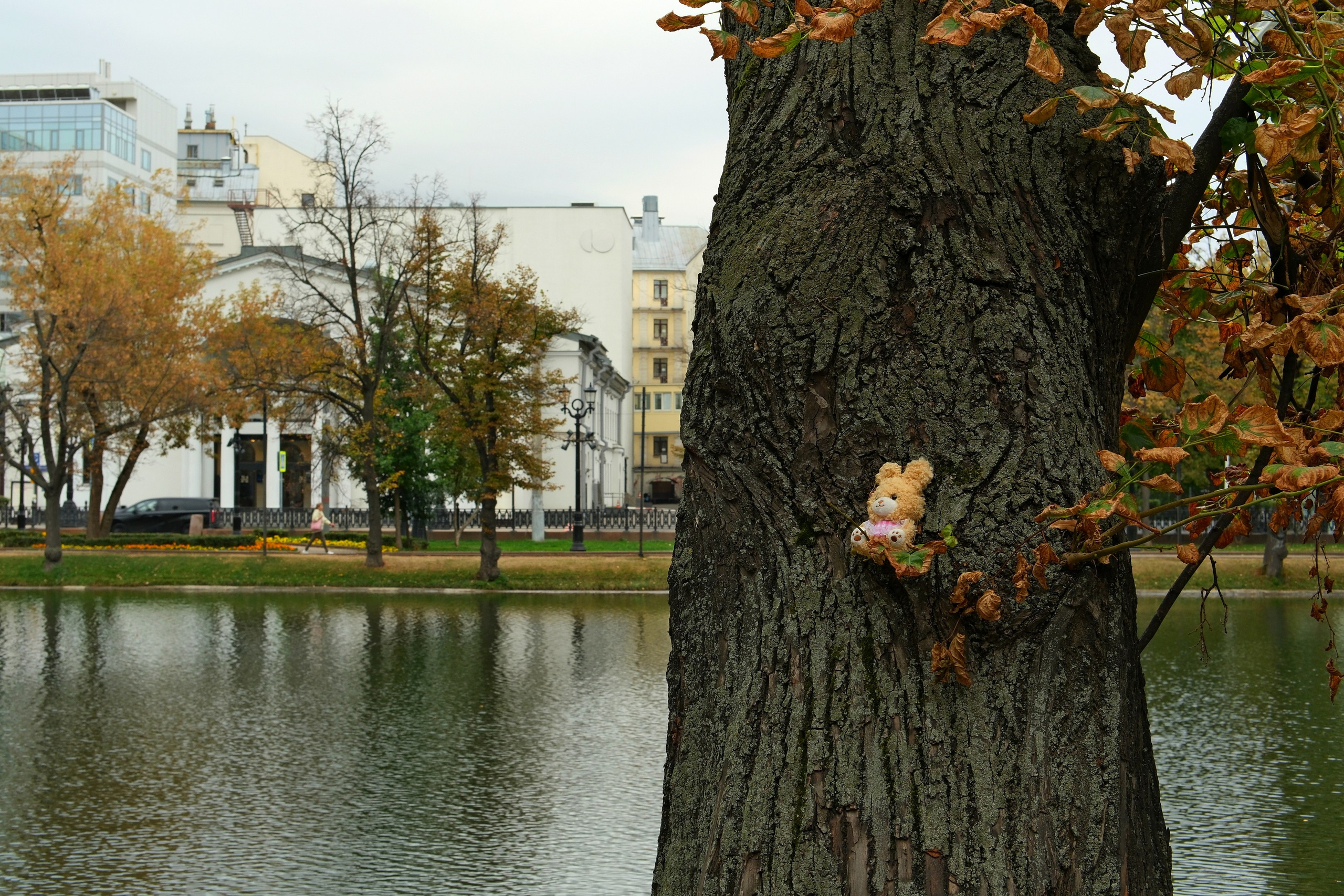 Улица, люди, жизнь…