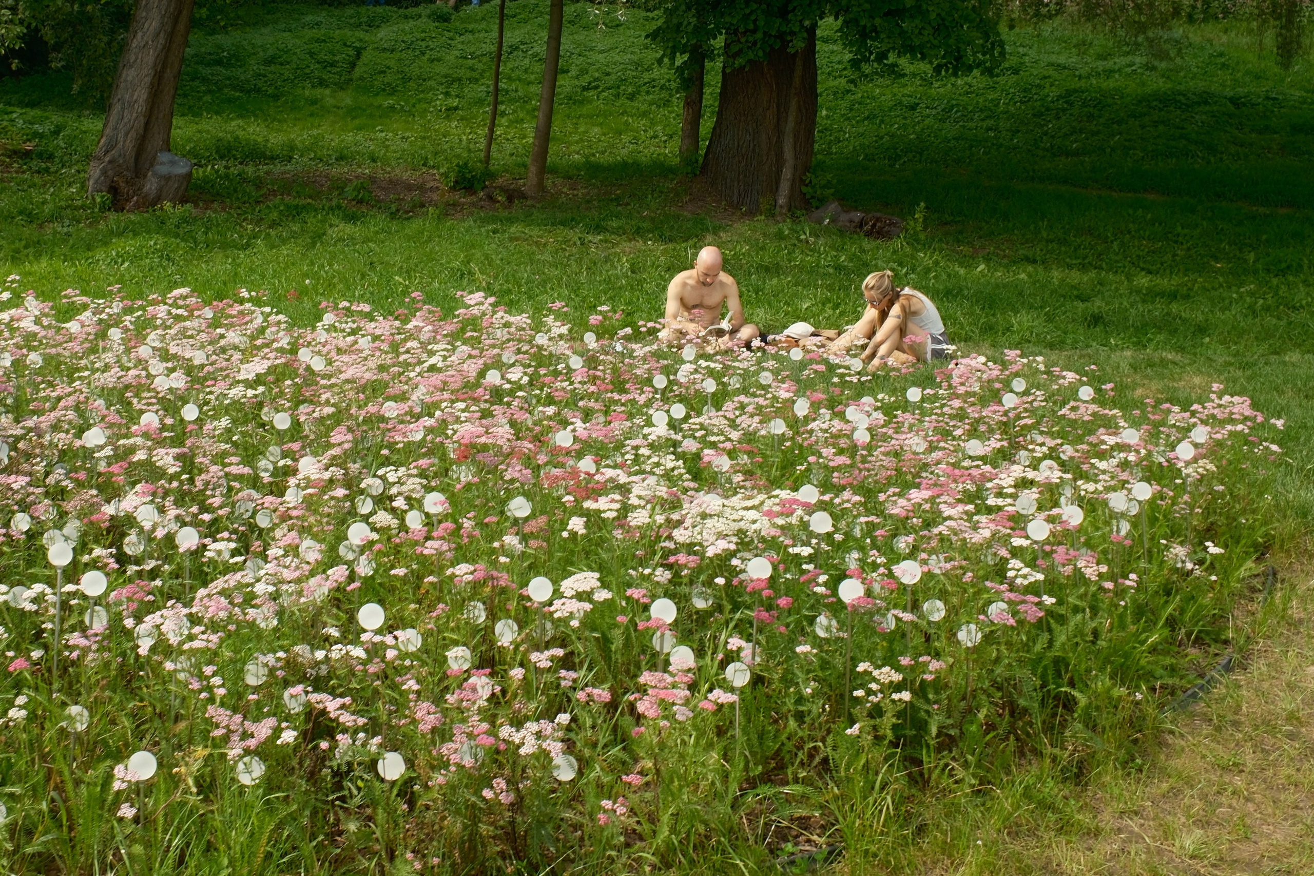 Коломенское 16.08.2025. Улица, люди, жизнь…