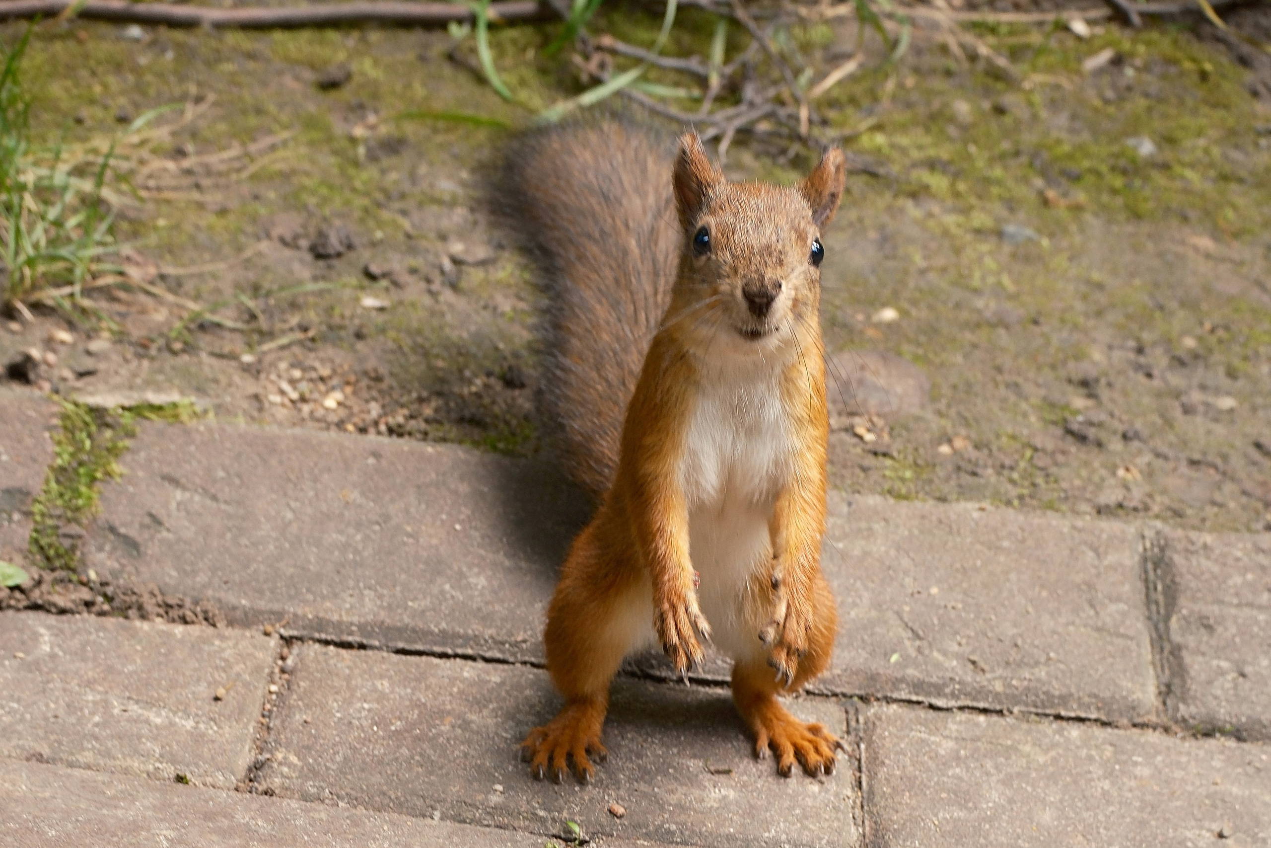 Царицыно 10.08.2025. Улица, люди, жизнь…