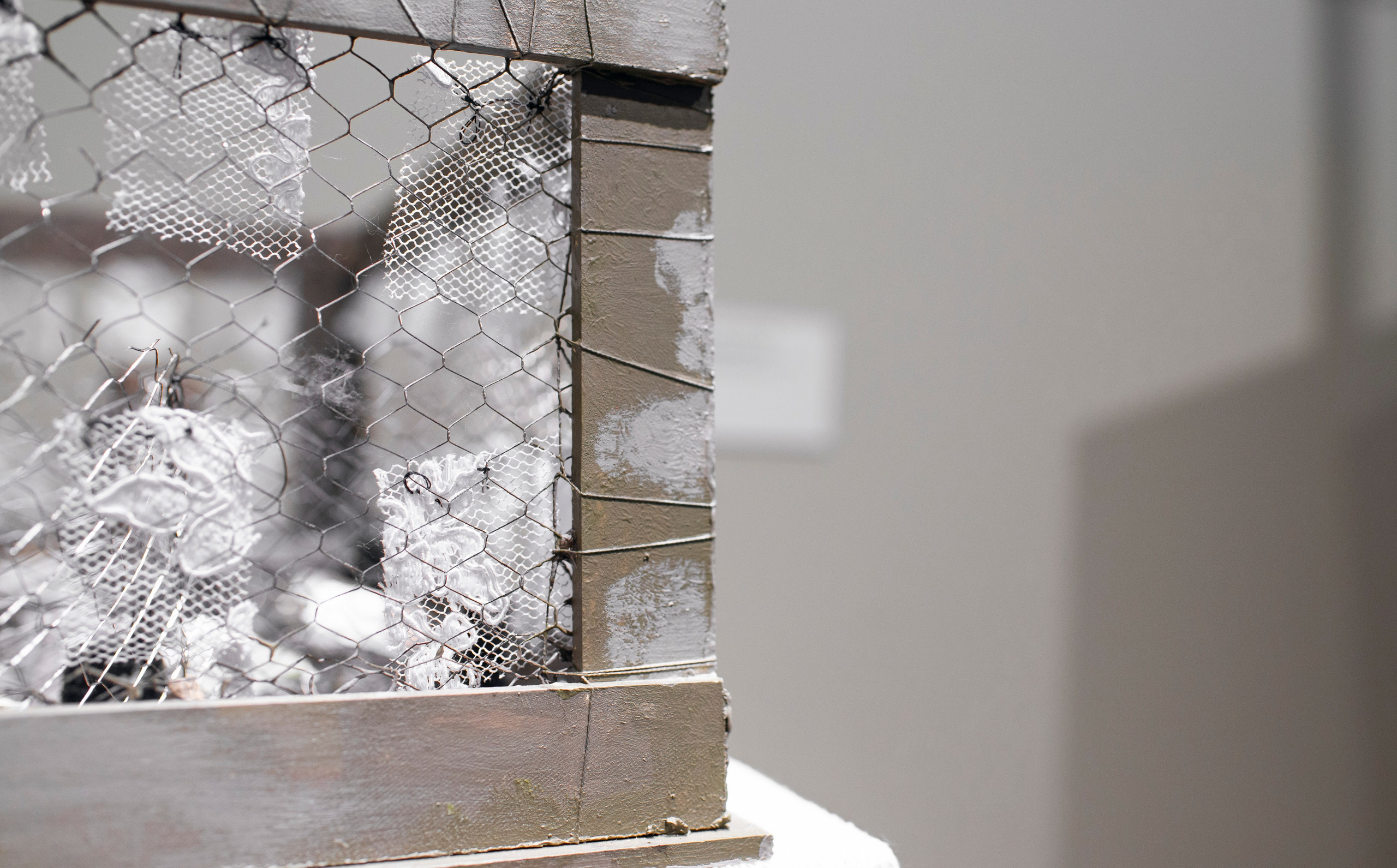 Выставка в доме Третьяковых. Фотограф в Москве Алейникова Евгения