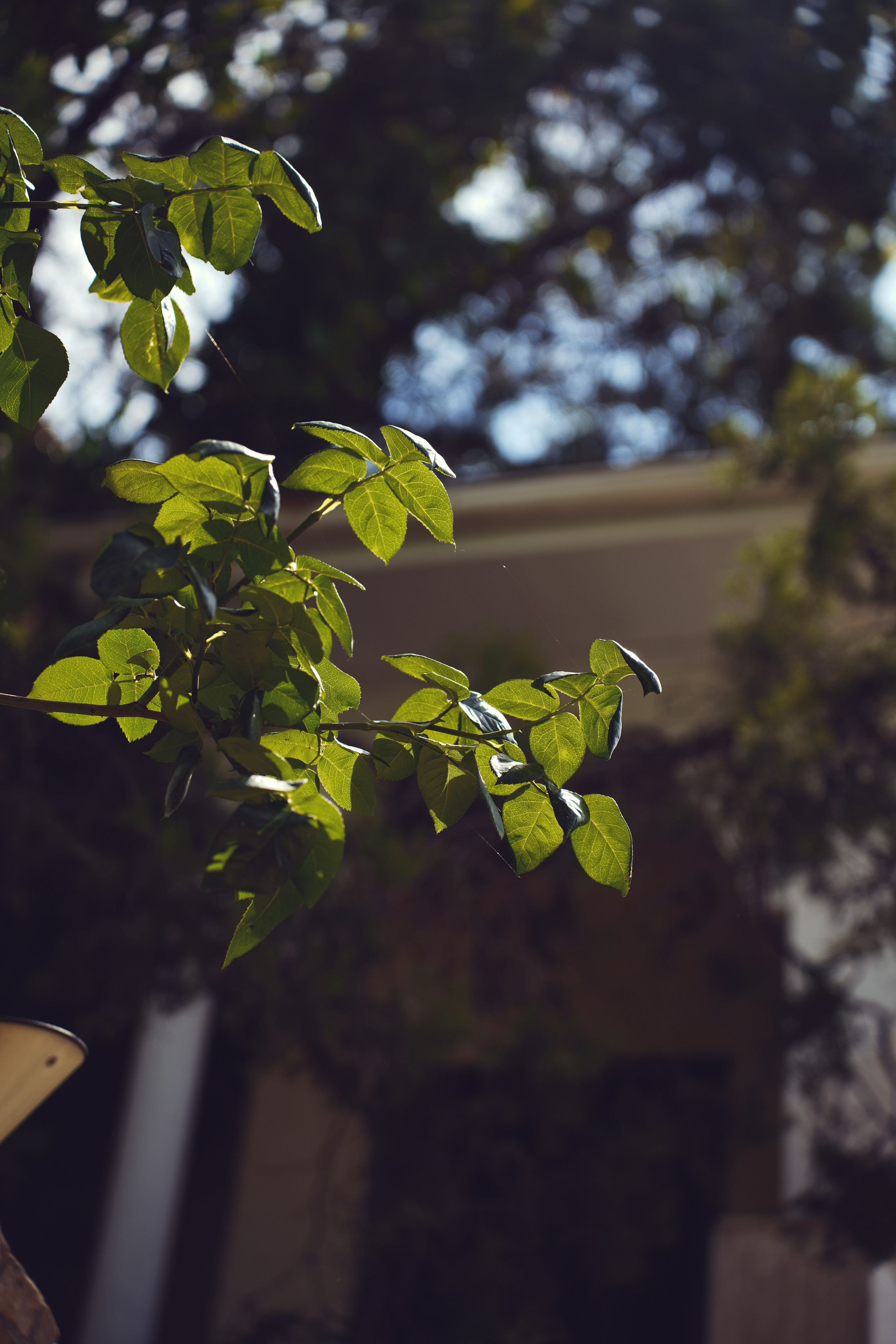 Крым. Анна Жукова — Режиссёр кино и цирка, сценарист, фотограф