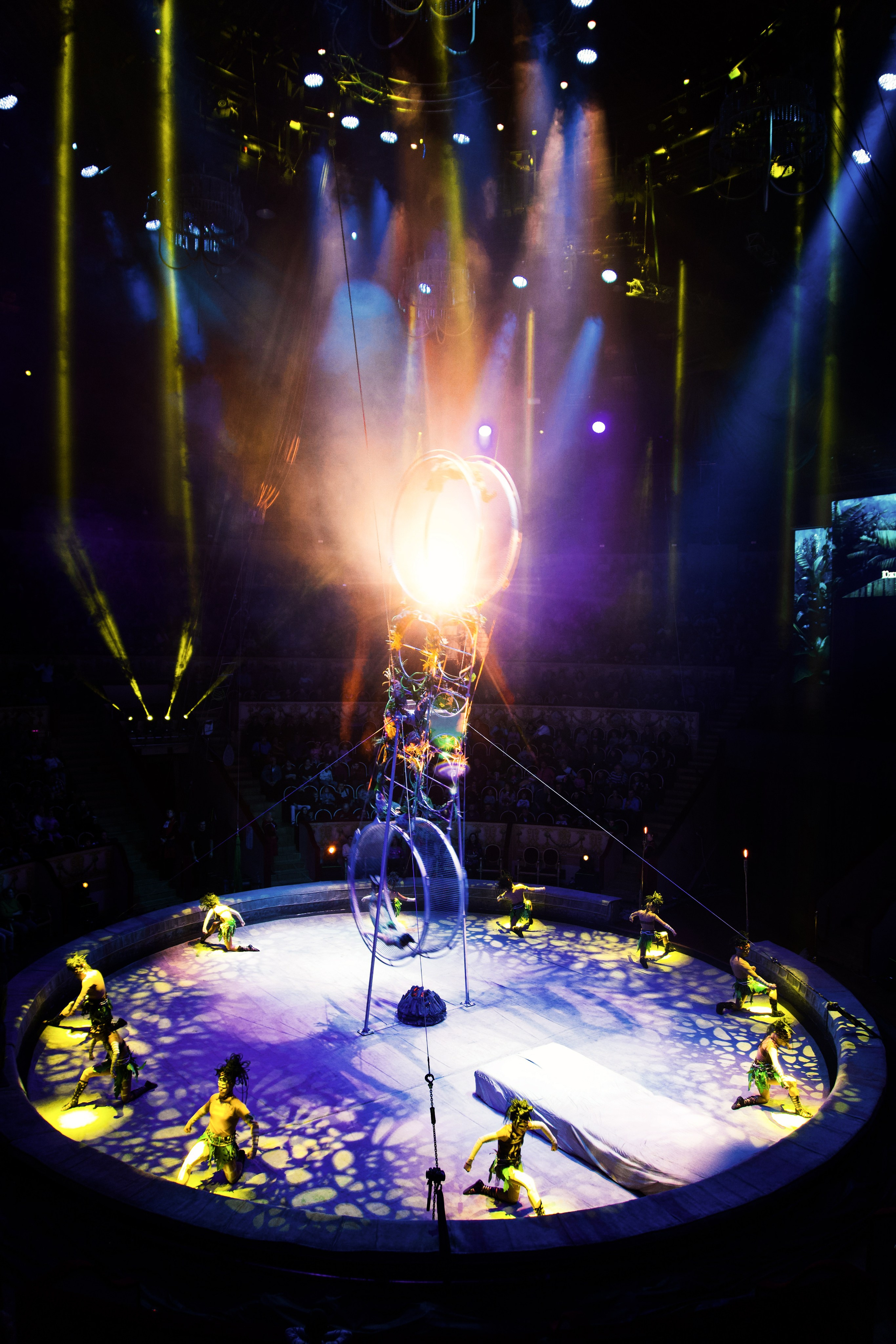 Цирк. Анна Жукова — Режиссёр кино и цирка, сценарист, фотограф