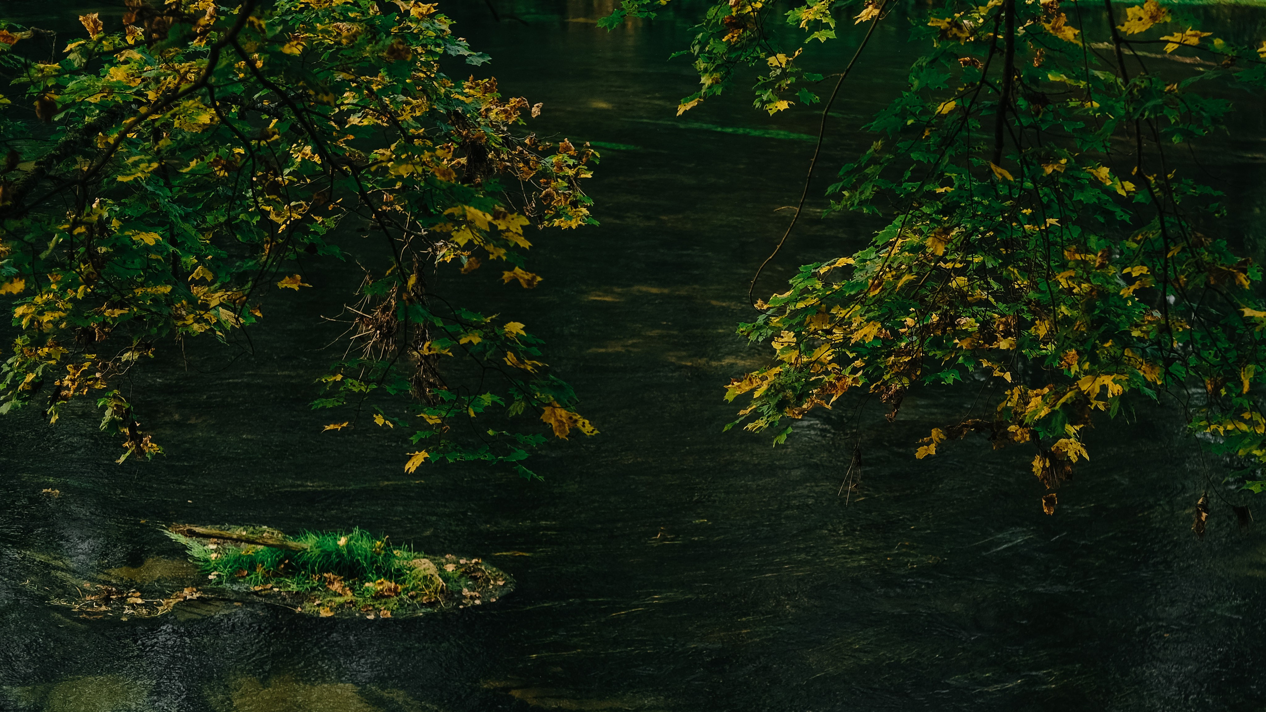 Поход по лесу в Марий-Эл. Обо мне