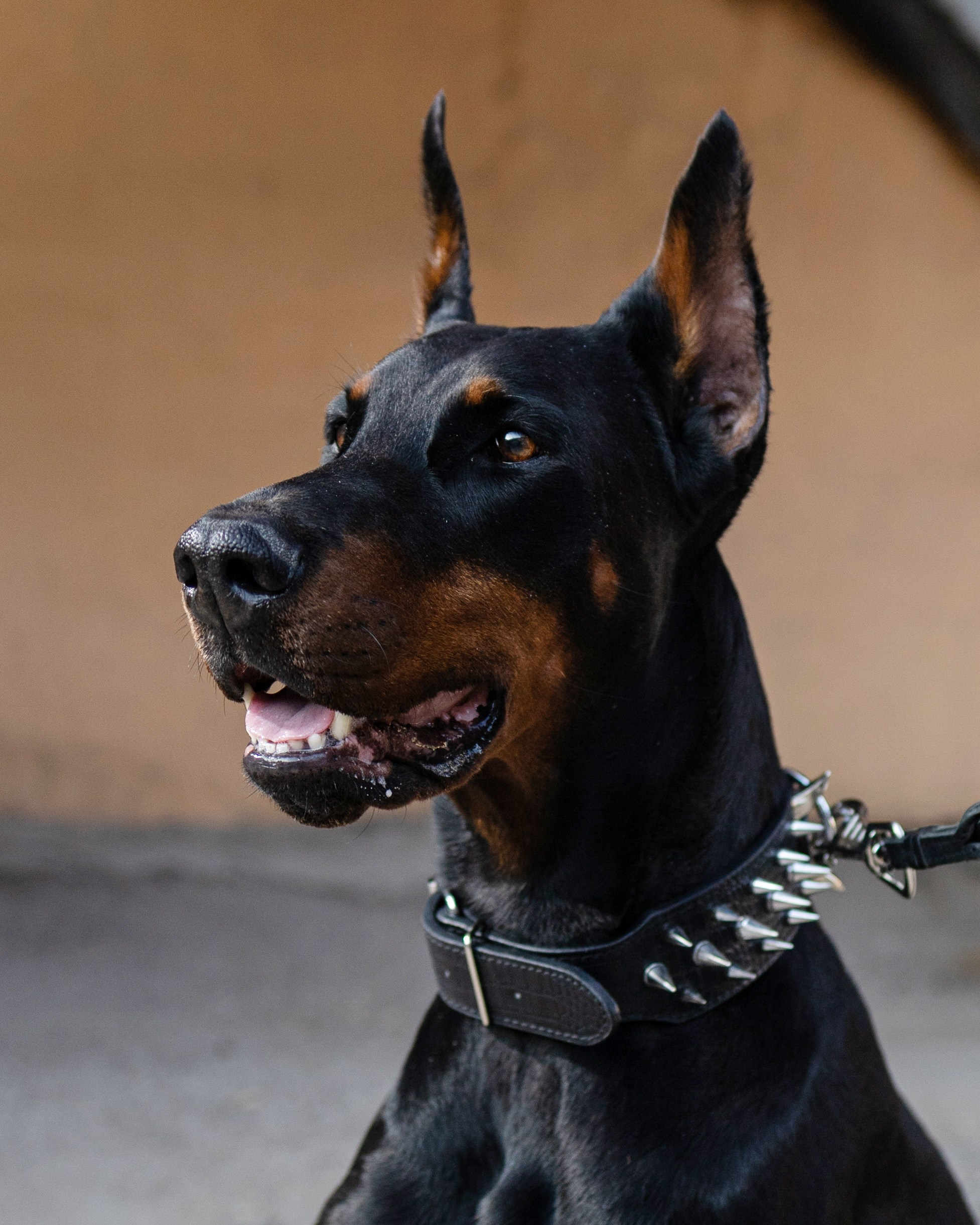 Мужчины. Фотограф в Самаре Женя Шулепова