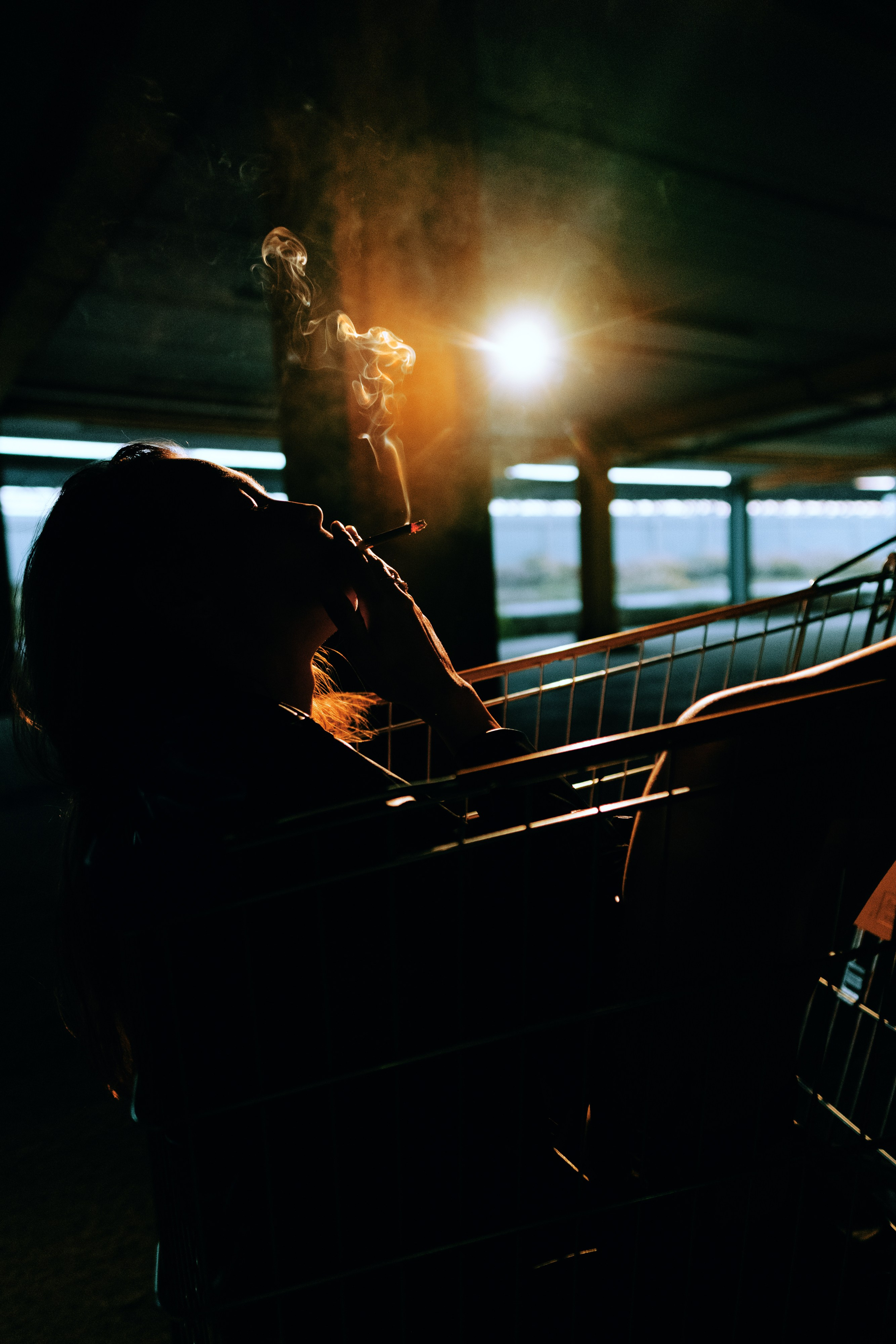 Анастасия. Дмитрий Пропадалин, Нейрофотография