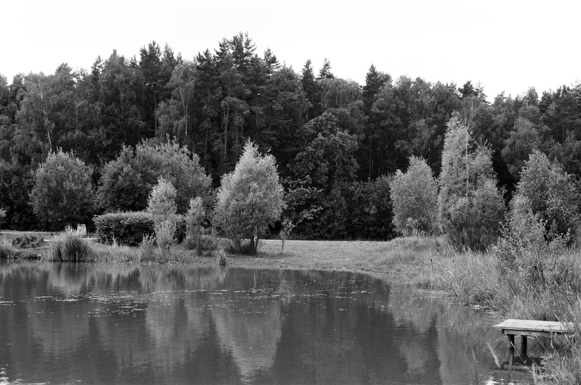 Природа. Другой Павел Поцелуев. Фотограф в 2025 году