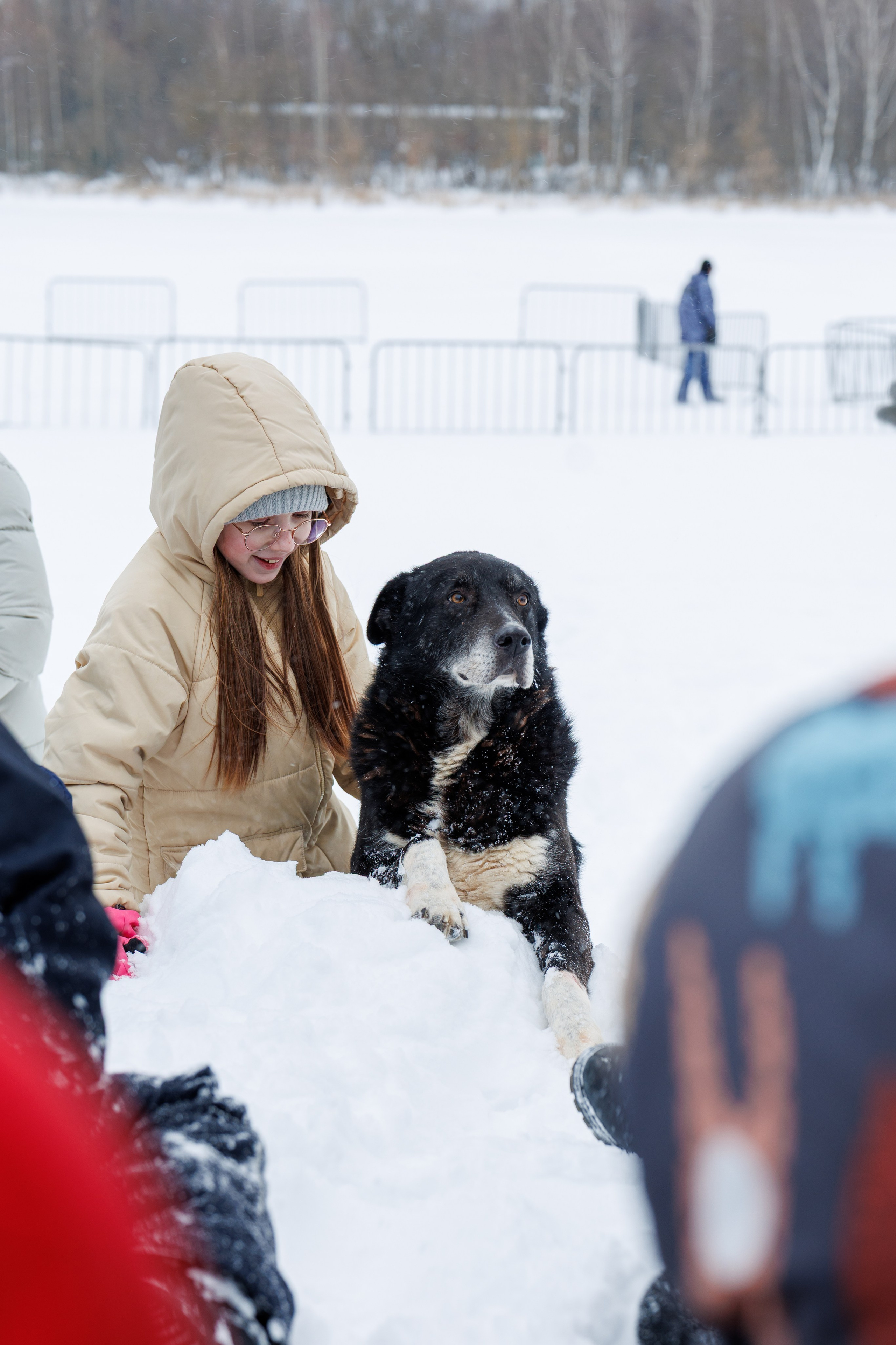 Масленица Солнечногорск 2026. Фотограф Олеся Сухова в Клину