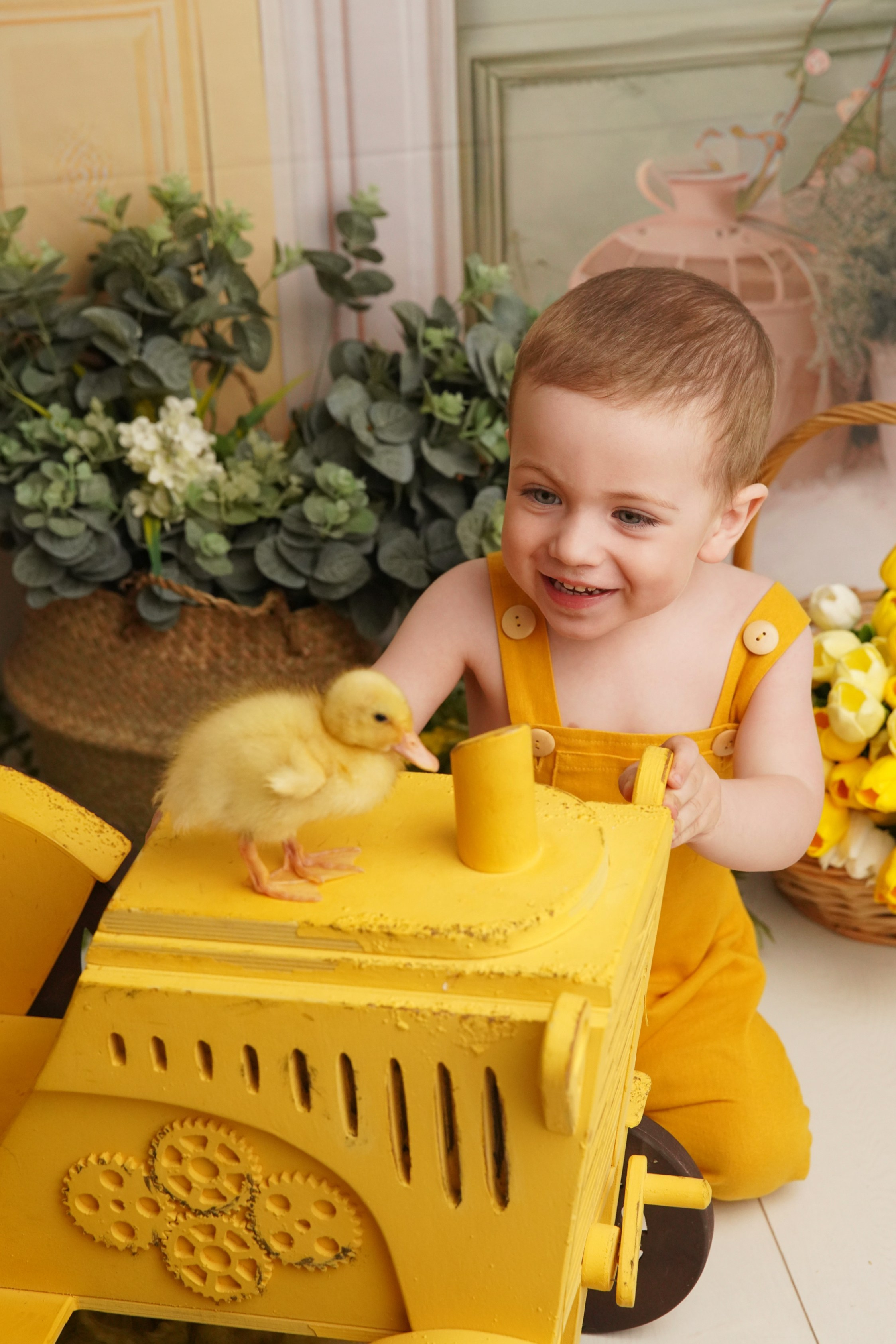 Утята. Фотограф новорожденных. Семейный и детский фотограф в городе Сургуте