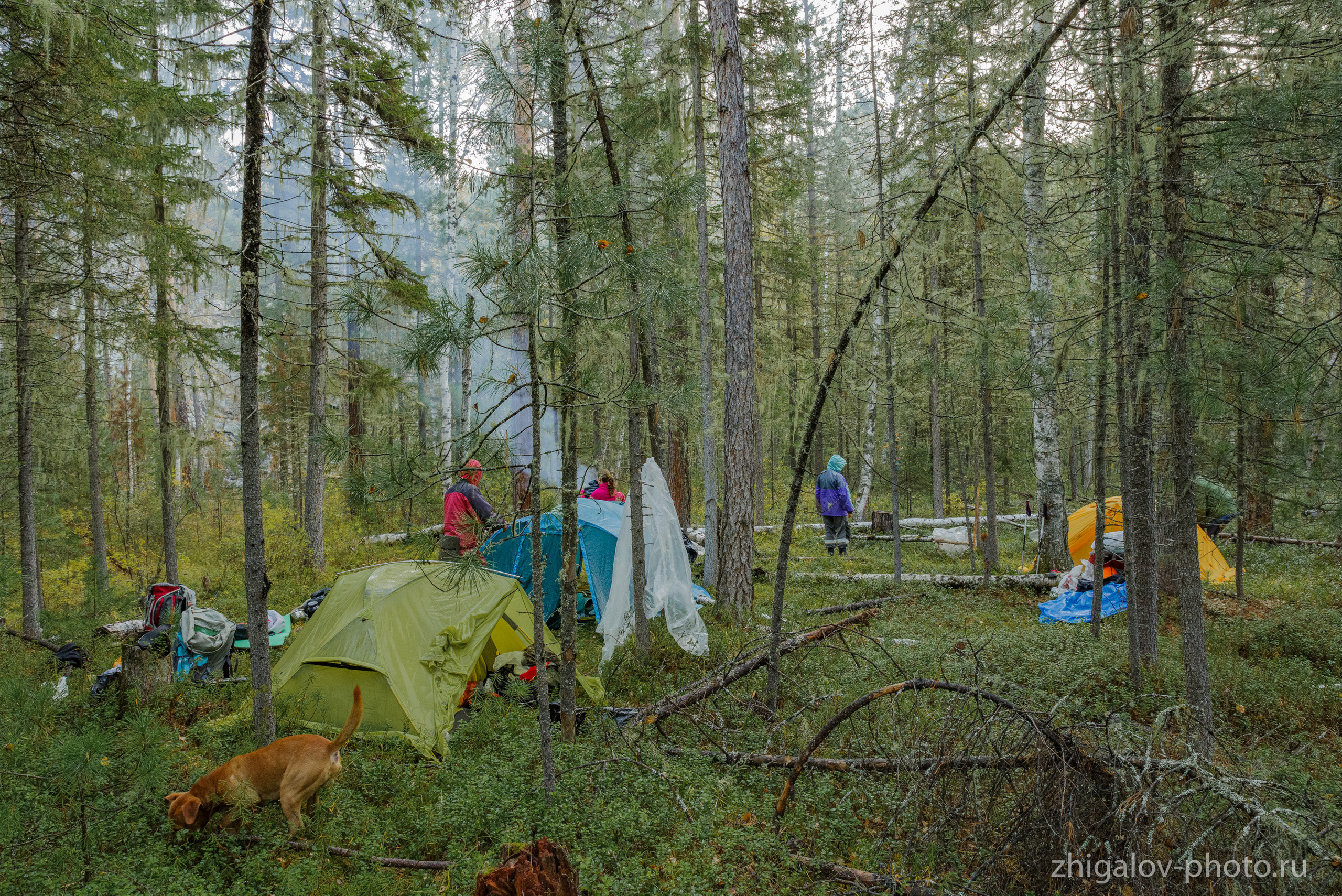 Таёжные места р.Зазара. Семейный и свадебный фотограф в Иркутске Максим Жигалов