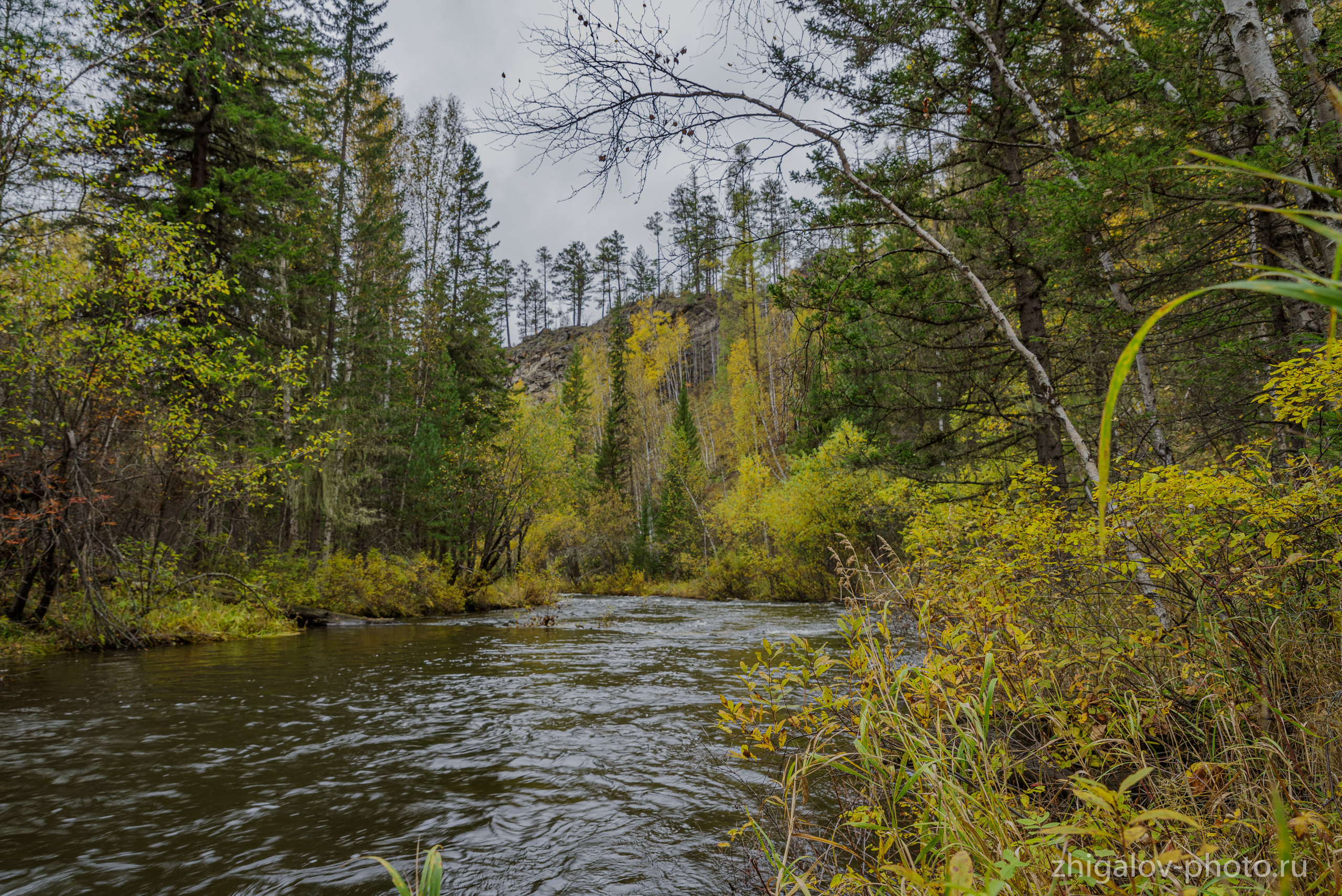 Таёжные места р.Зазара. Семейный и свадебный фотограф в Иркутске Максим Жигалов