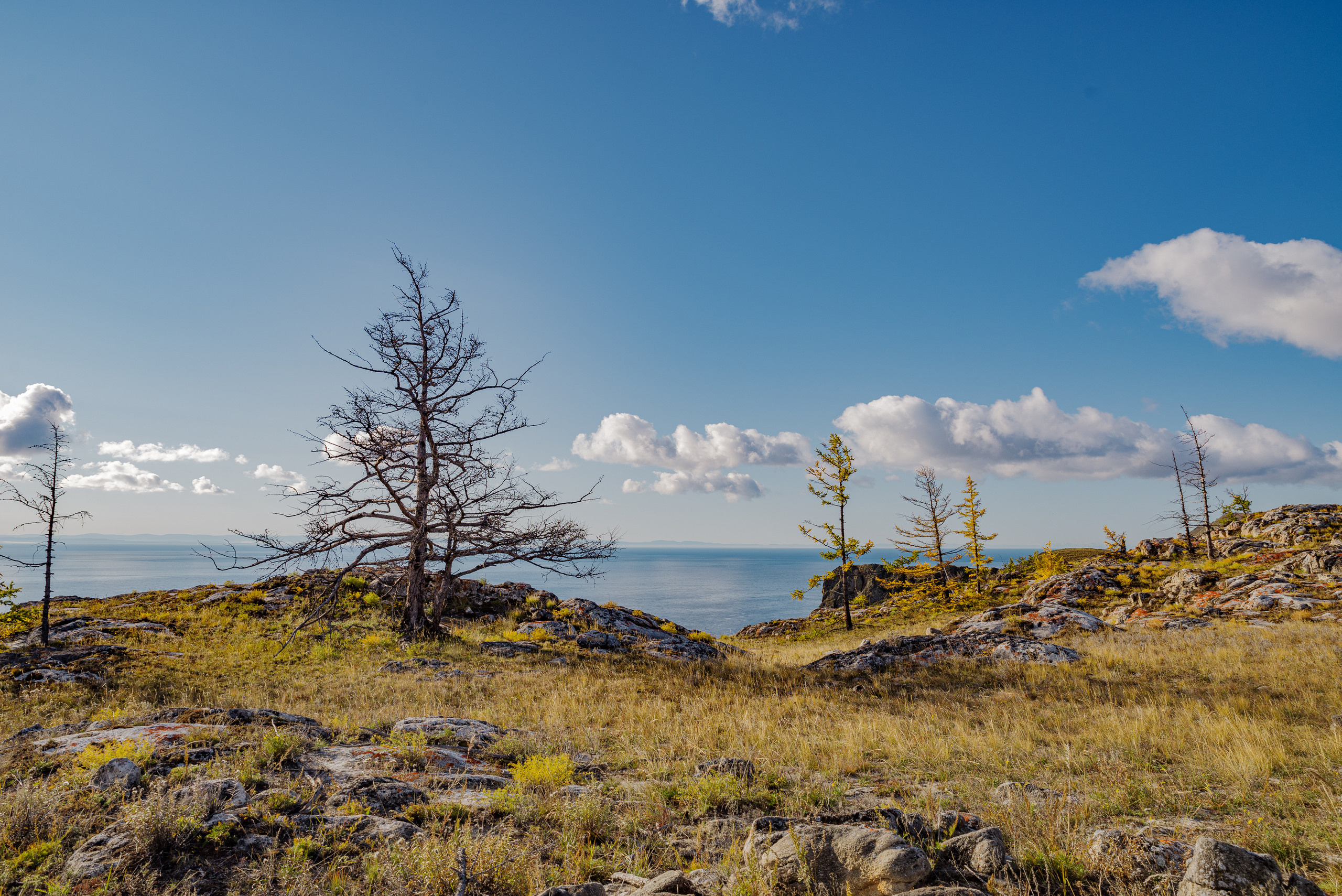 Октябарь Байкал. Семейный и свадебный фотограф в Иркутске Максим Жигалов