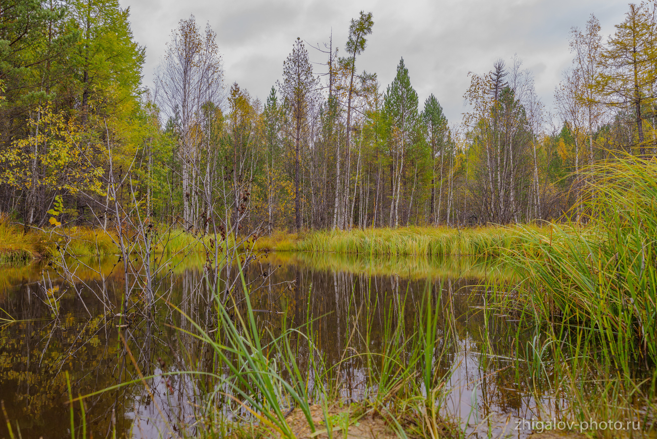 Таёжные места р.Зазара. Семейный и свадебный фотограф в Иркутске Максим Жигалов