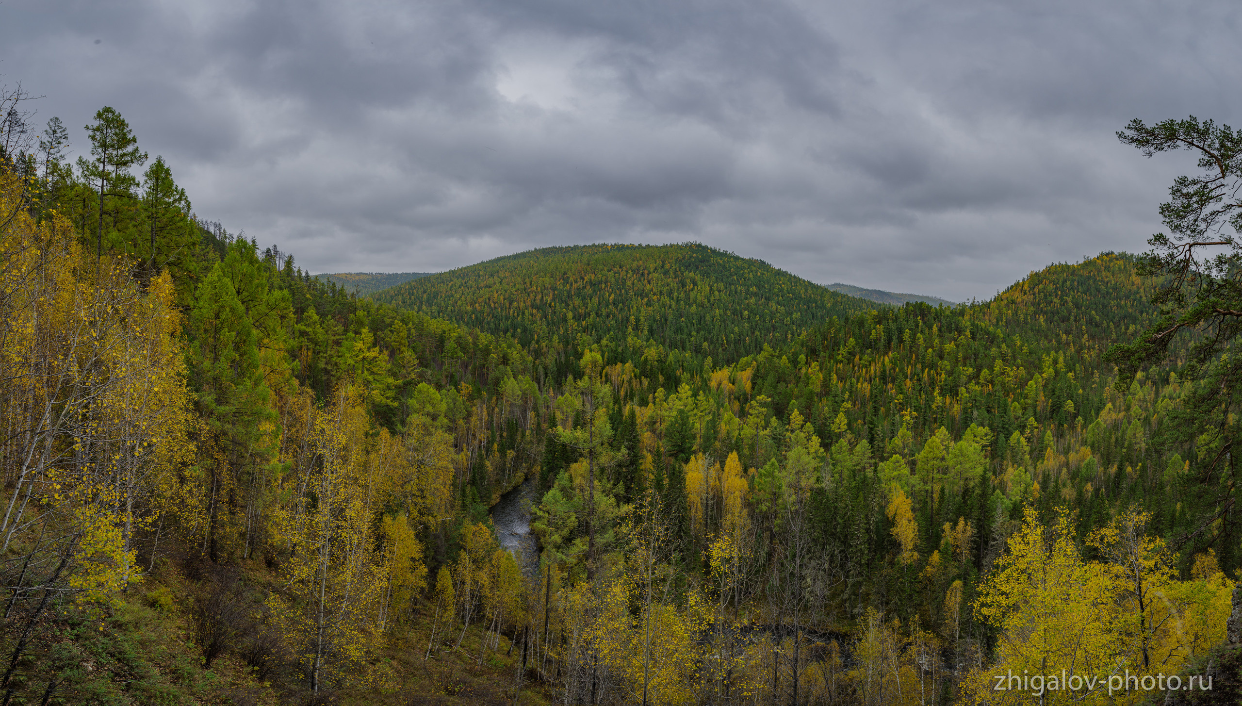 Таёжные места р.Зазара. Семейный и свадебный фотограф в Иркутске Максим Жигалов