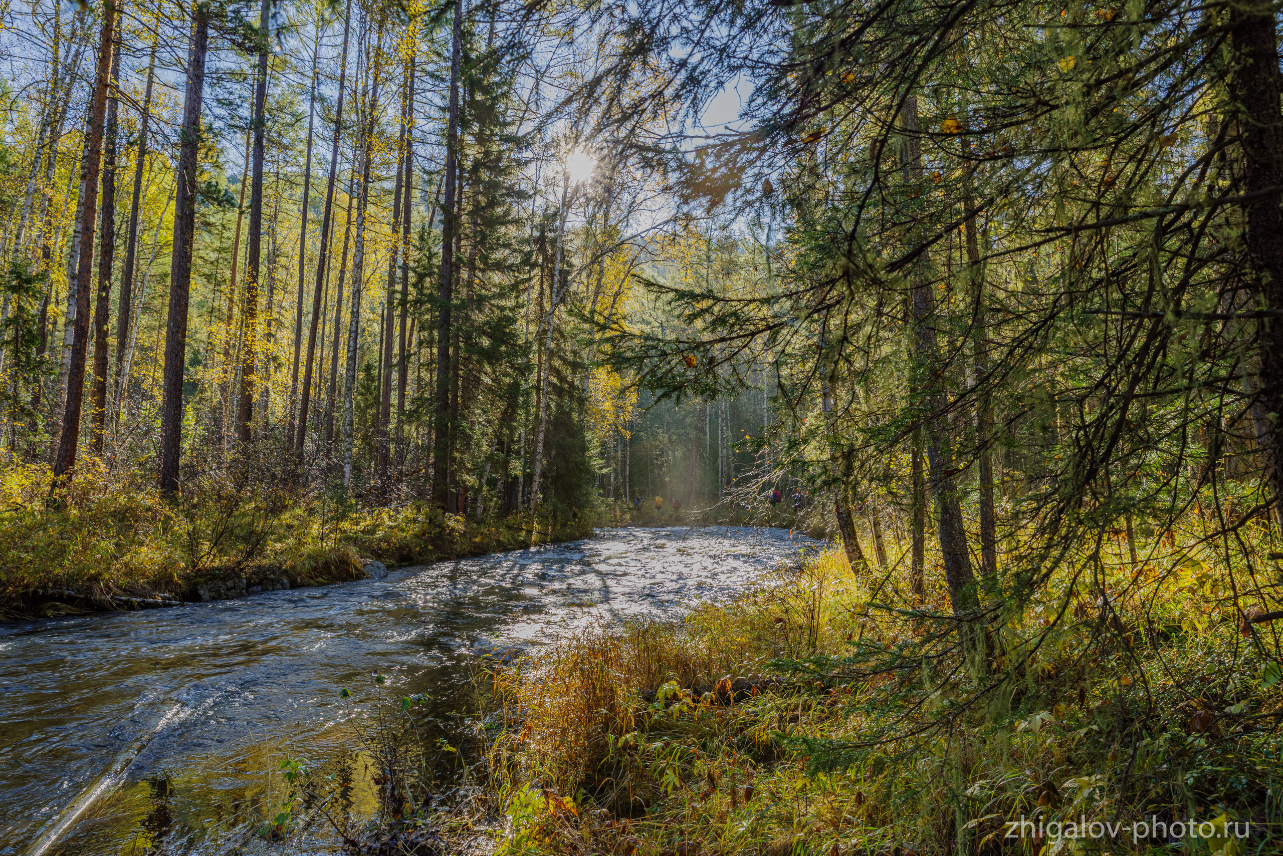 Таёжные места р.Зазара. Семейный и свадебный фотограф в Иркутске Максим Жигалов