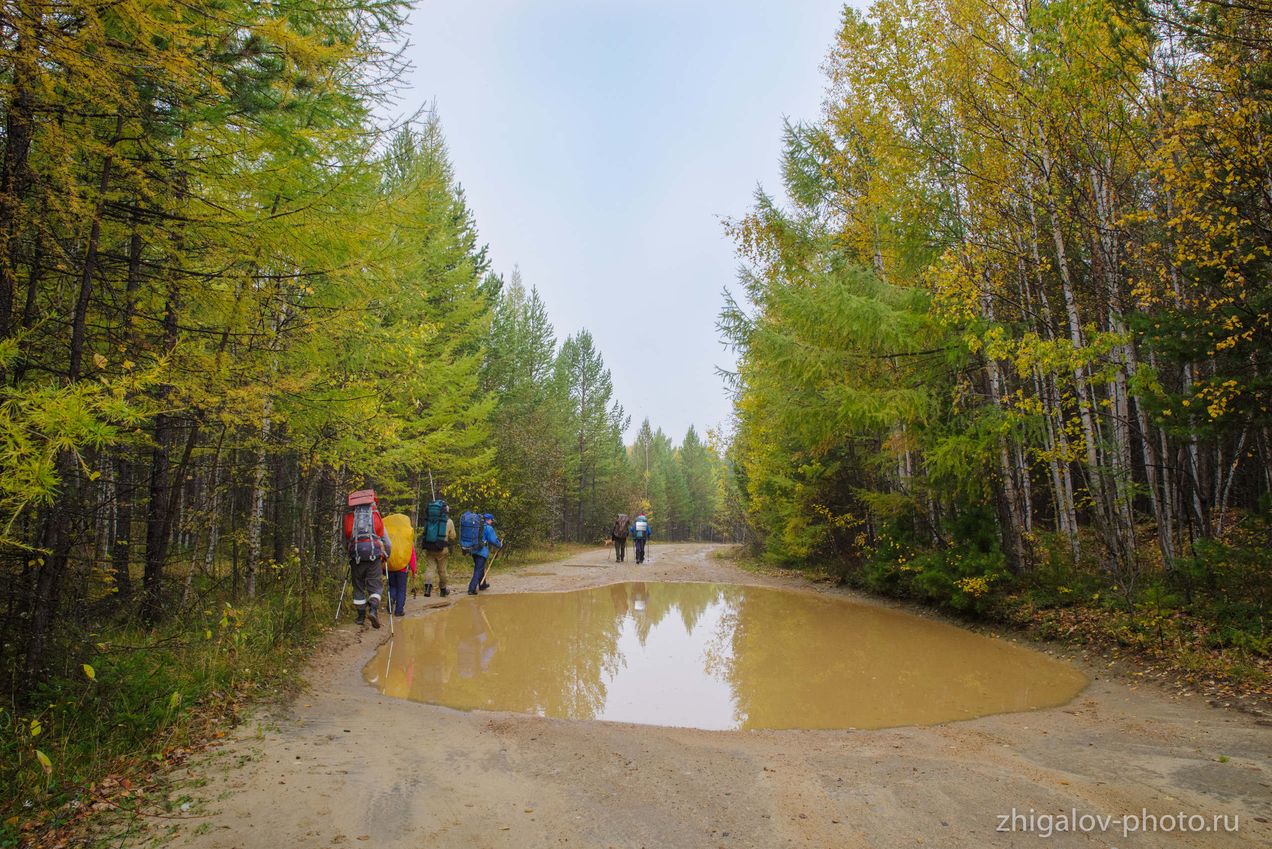 Таёжные места р.Зазара. Семейный и свадебный фотограф в Иркутске Максим Жигалов