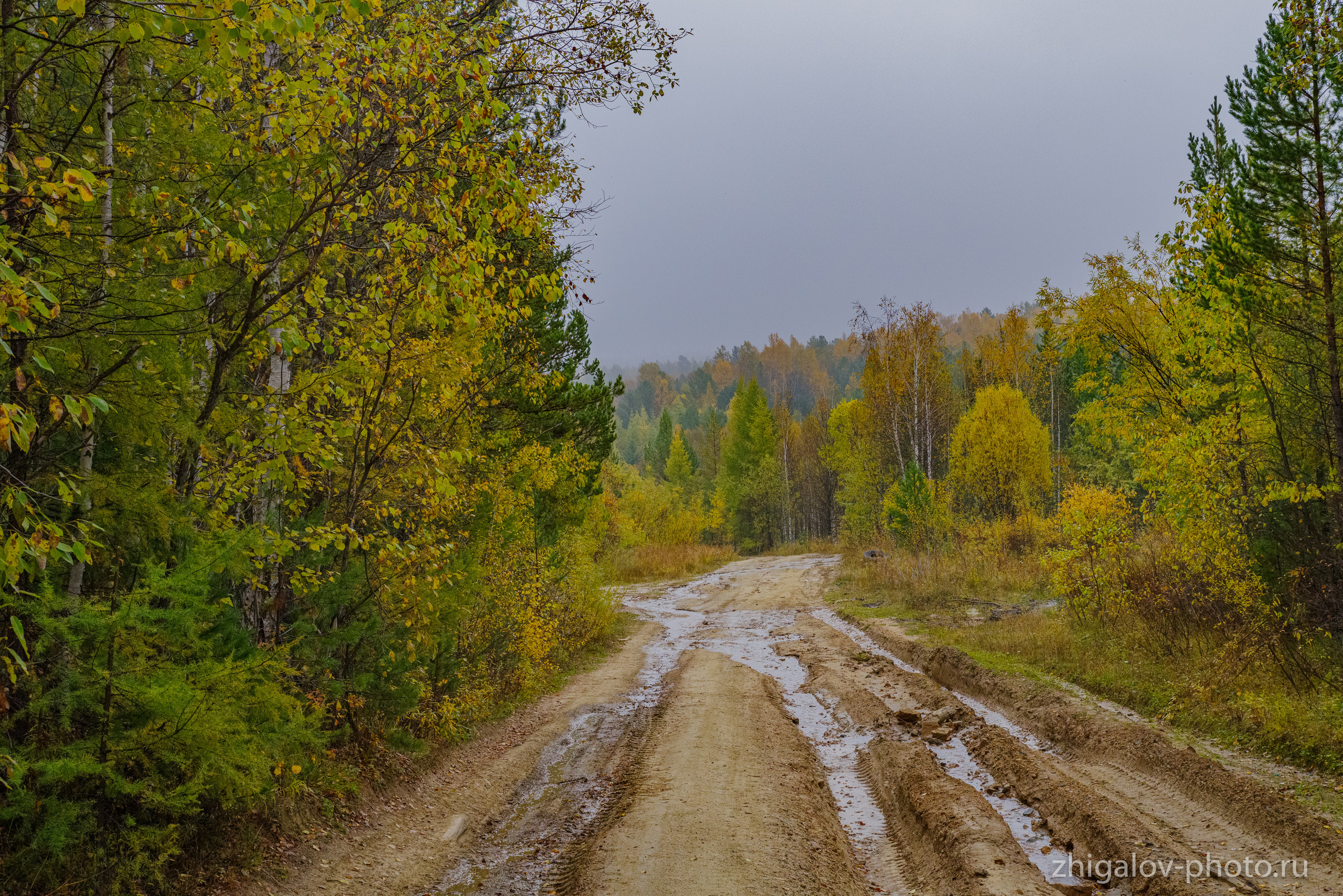 Таёжные места р.Зазара. Семейный и свадебный фотограф в Иркутске Максим Жигалов