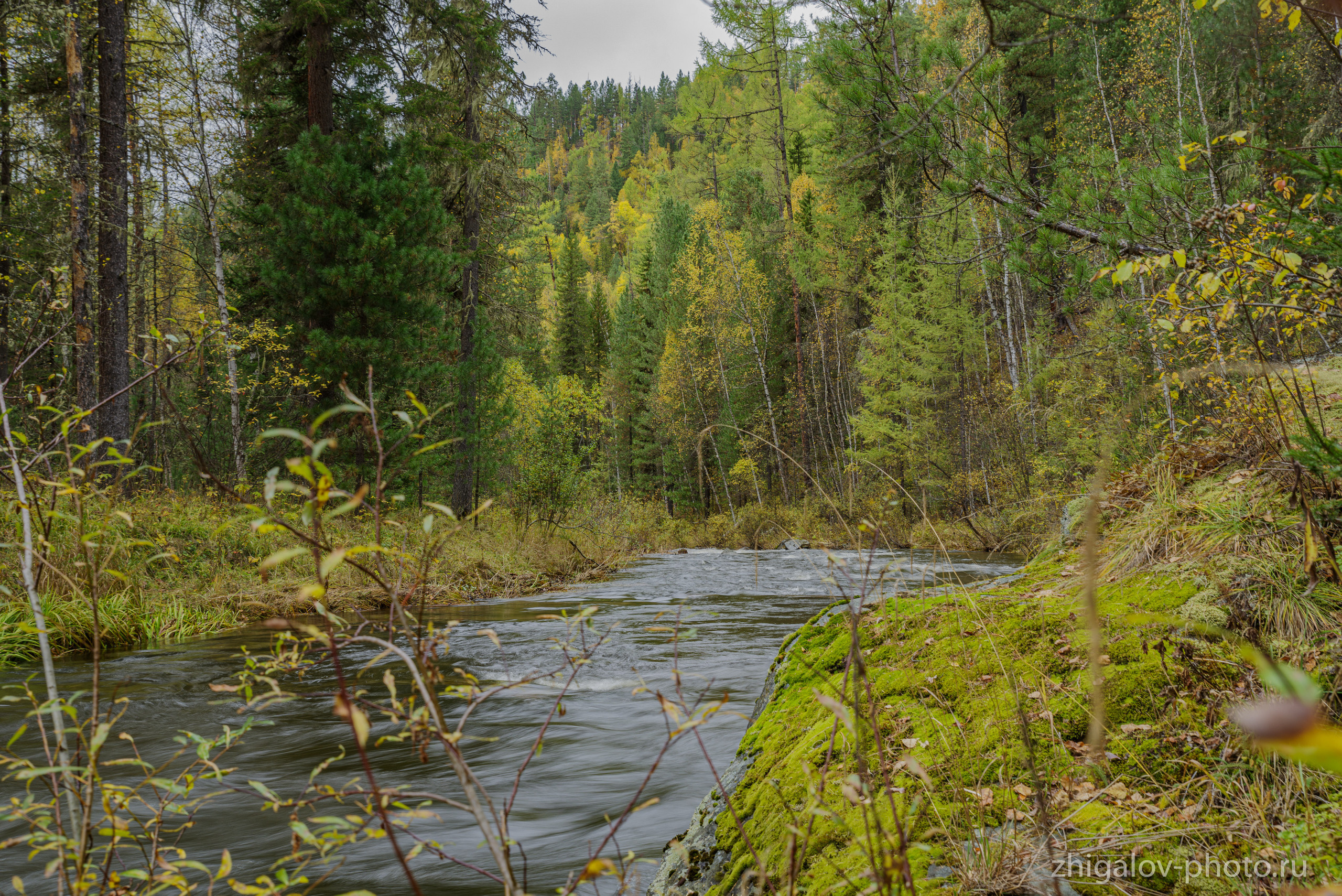 Таёжные места р.Зазара. Семейный и свадебный фотограф в Иркутске Максим Жигалов