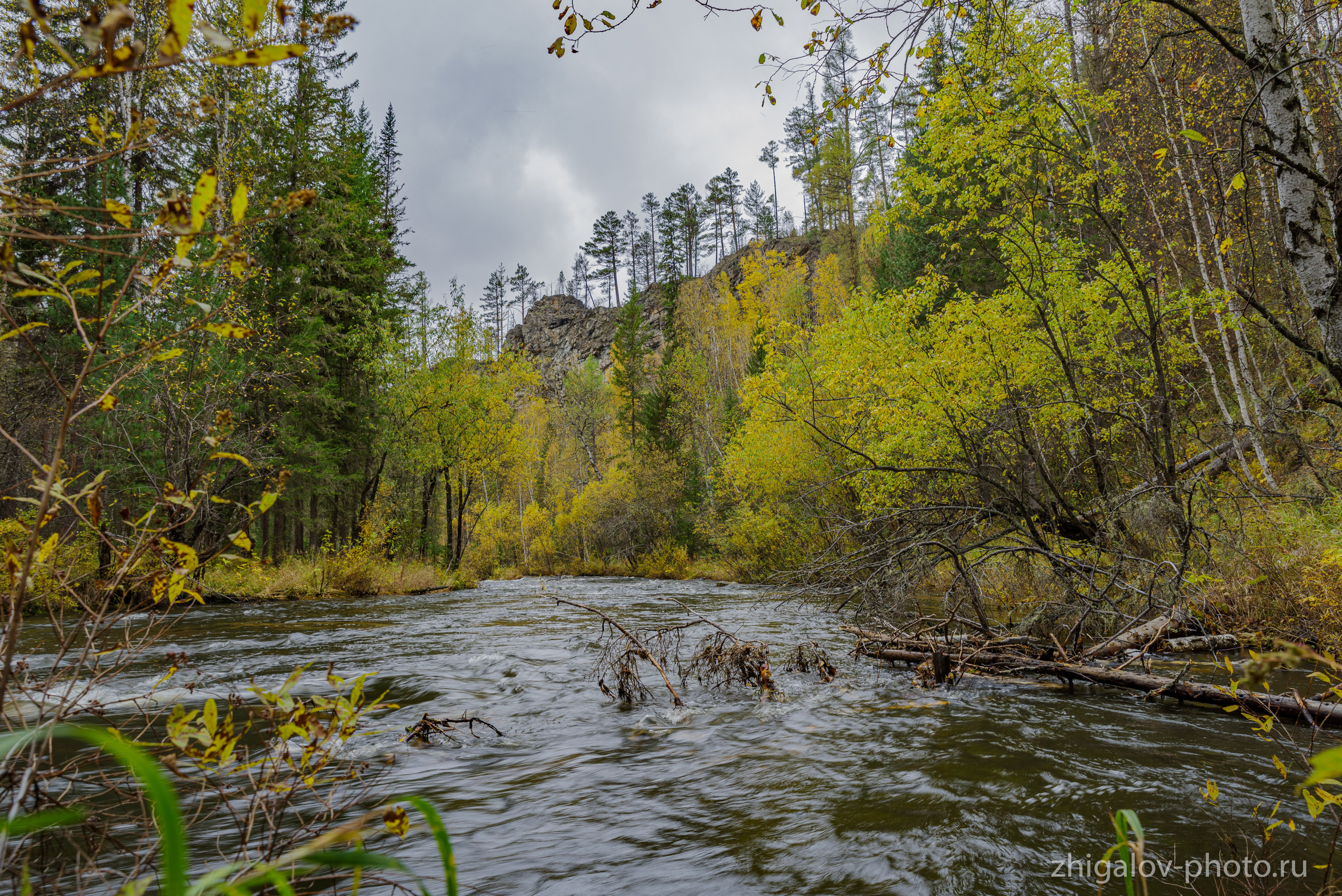 Таёжные места р.Зазара. Семейный и свадебный фотограф в Иркутске Максим Жигалов
