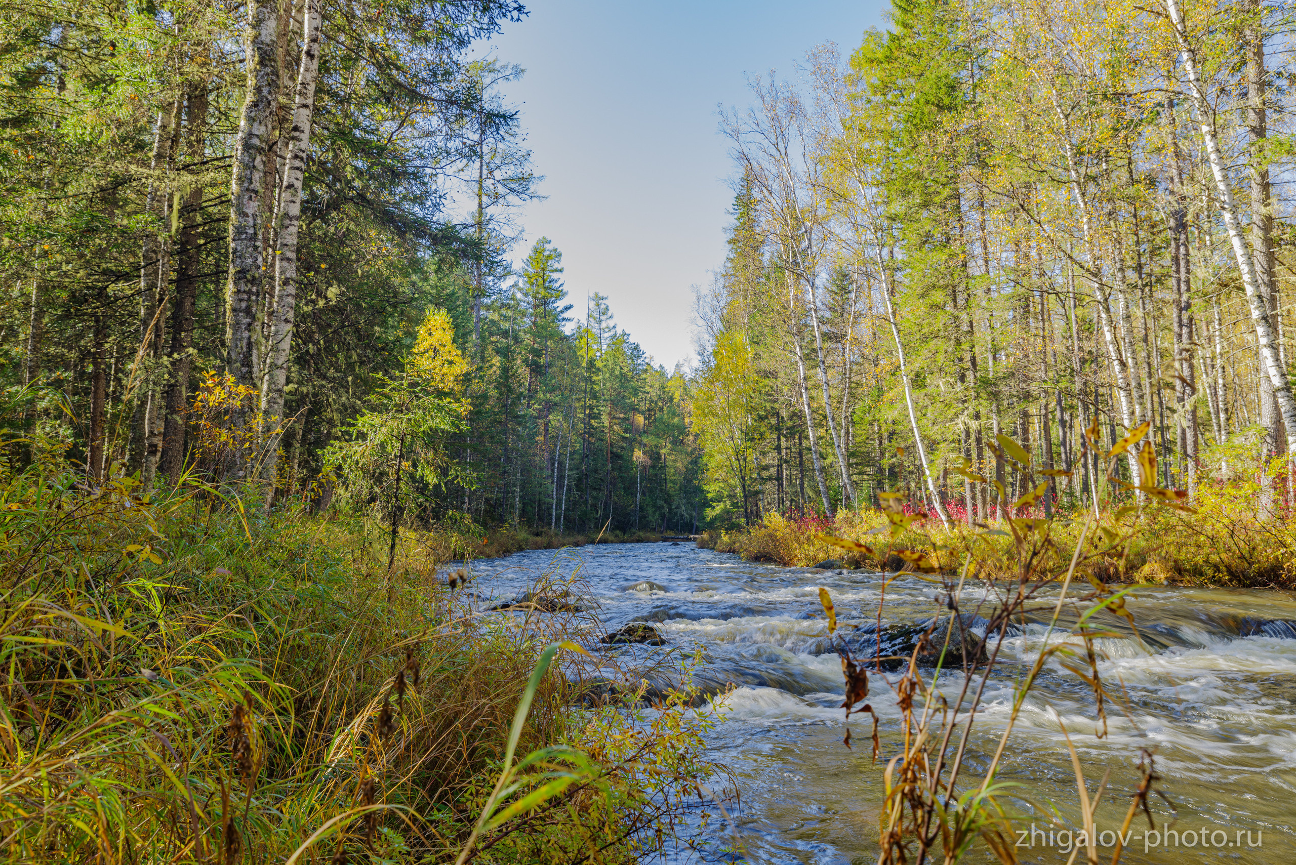 Таёжные места р.Зазара. Семейный и свадебный фотограф в Иркутске Максим Жигалов