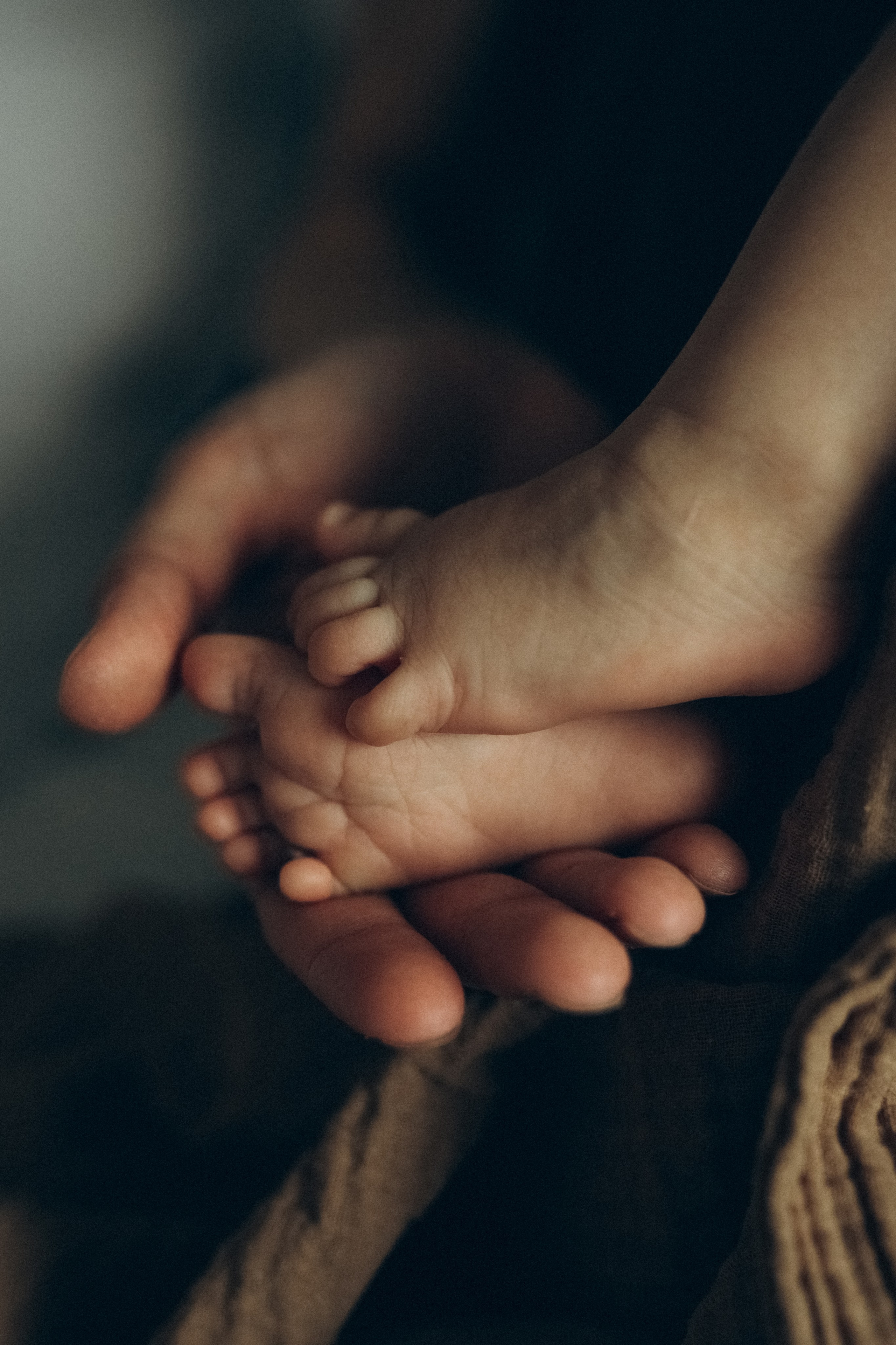 Вера паулина Аня илюша. Семейный фотограф в Минске и РБ Стеликова Анна