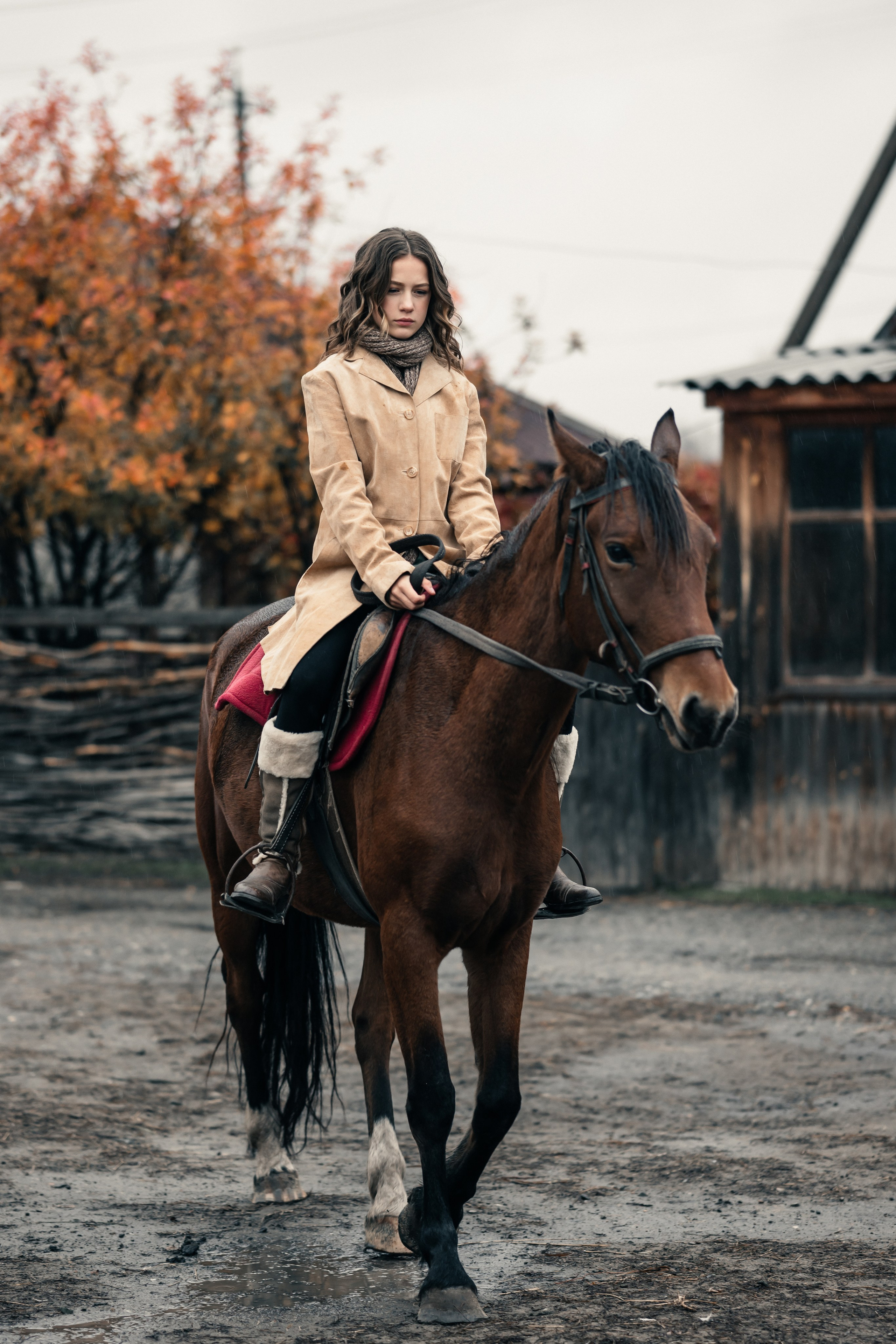 На конюшне. Belichev45foto.ru