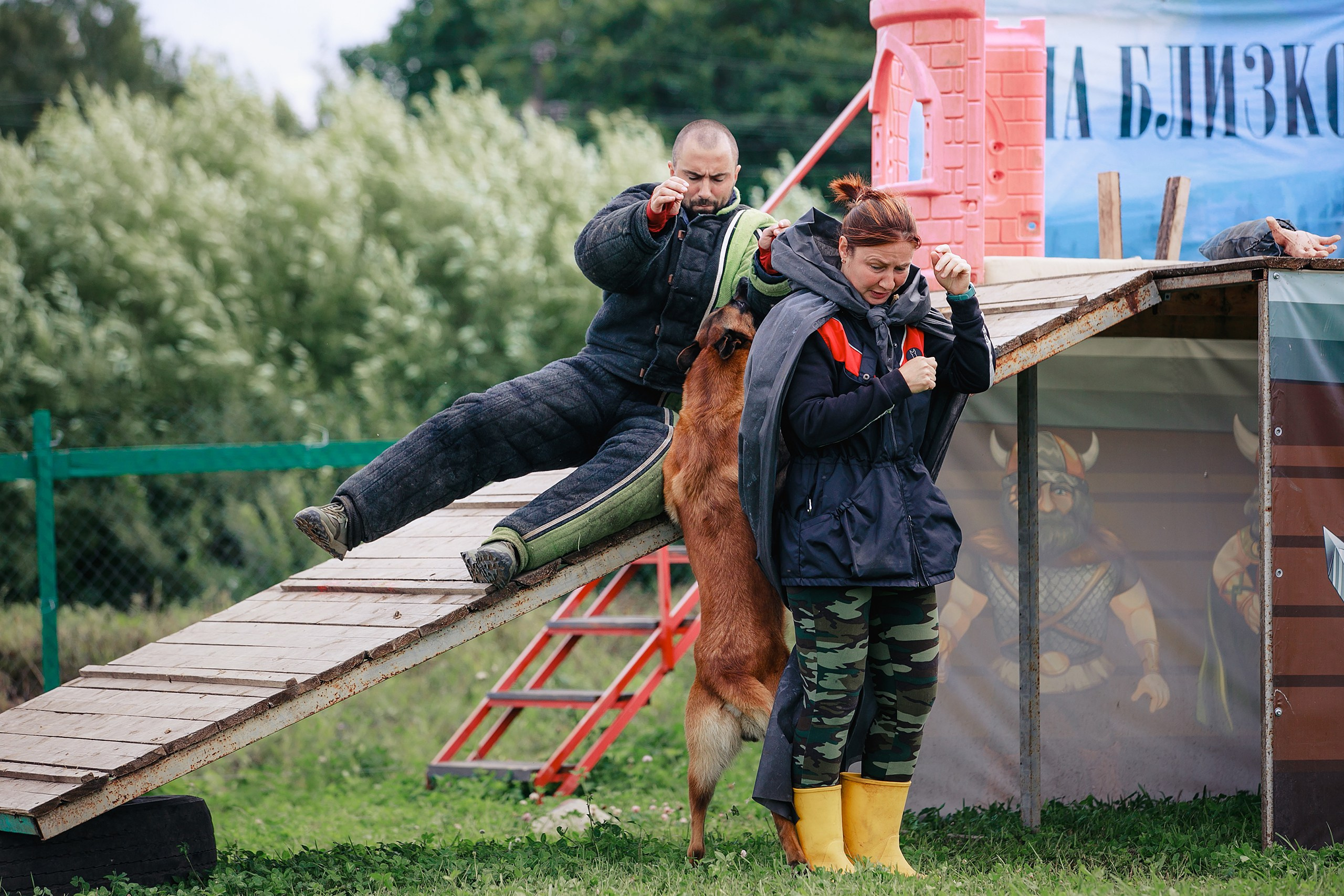 Мондьоринг М1, М2, М3, Вологда. Фотограф-анималист Mary Mart — Москва, Питер