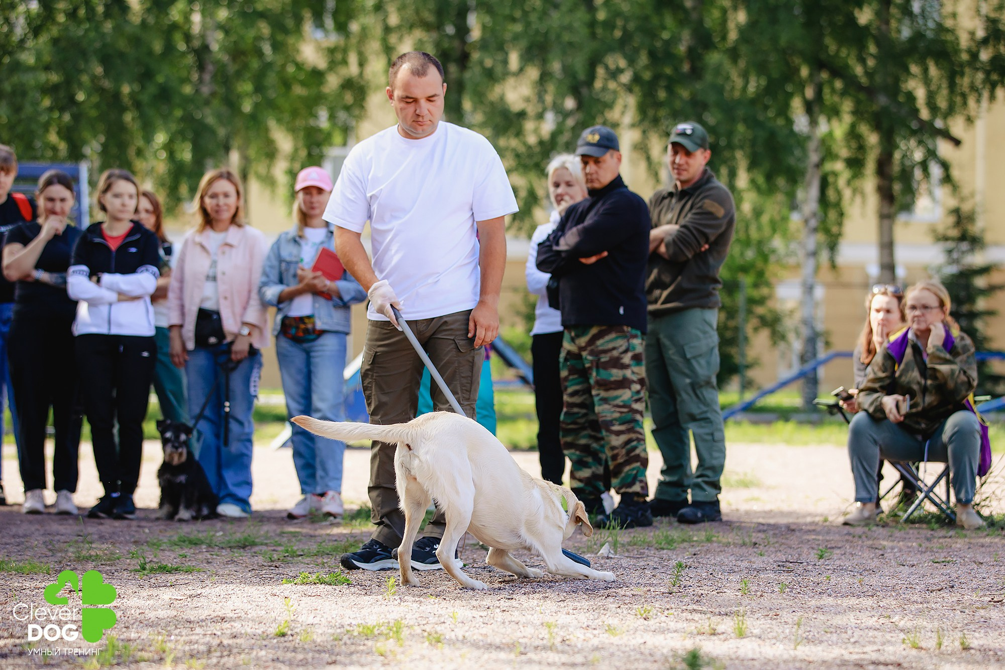 Семинар по поиску запаха с Иваном Ломовым, организатор CleverDog, СПб. Фотограф-анималист Mary Mart — Москва, Питер