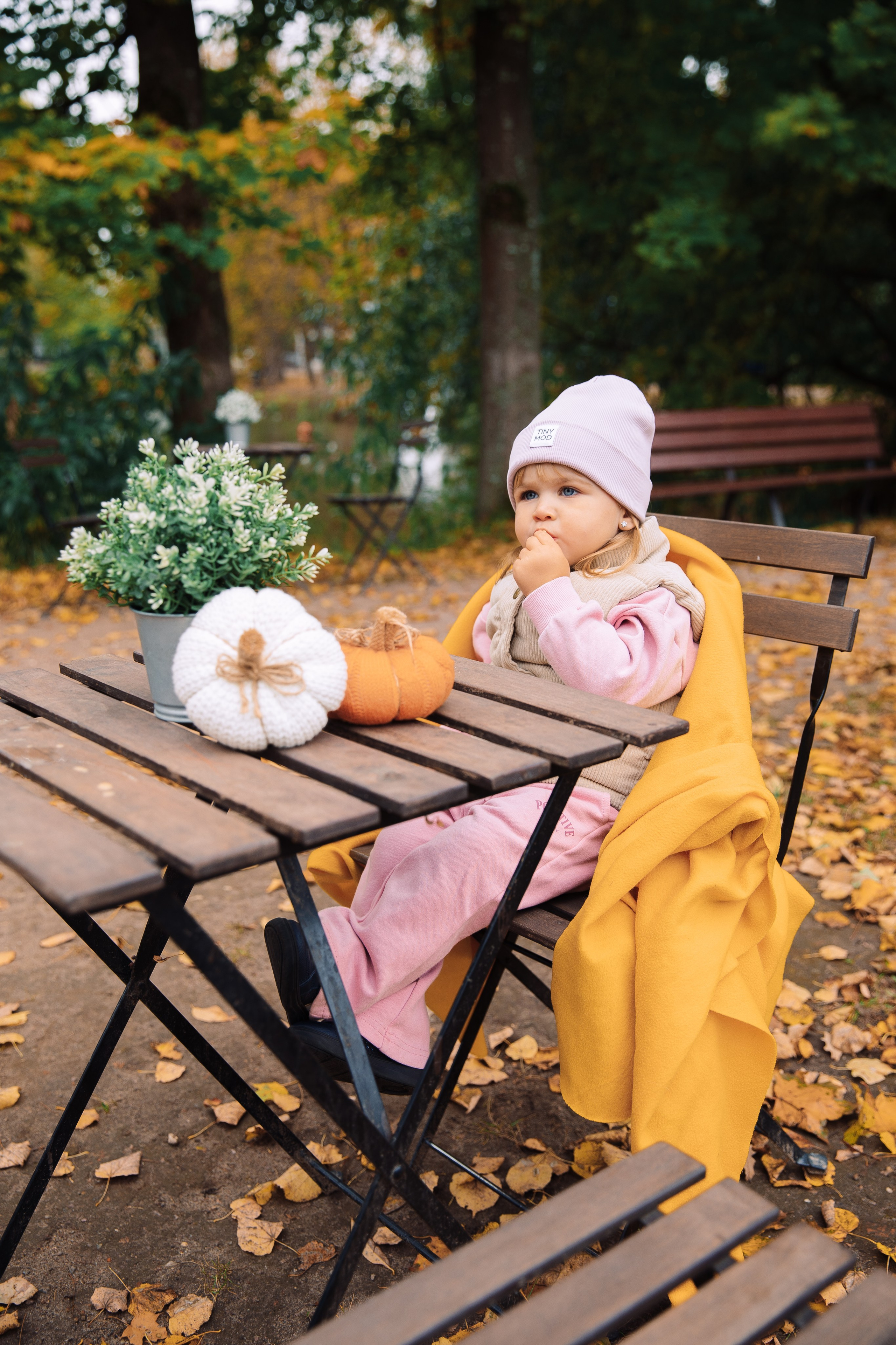 Осень в Остафьево. Свадебный и семейный фотограф Москва Зырянов Максим