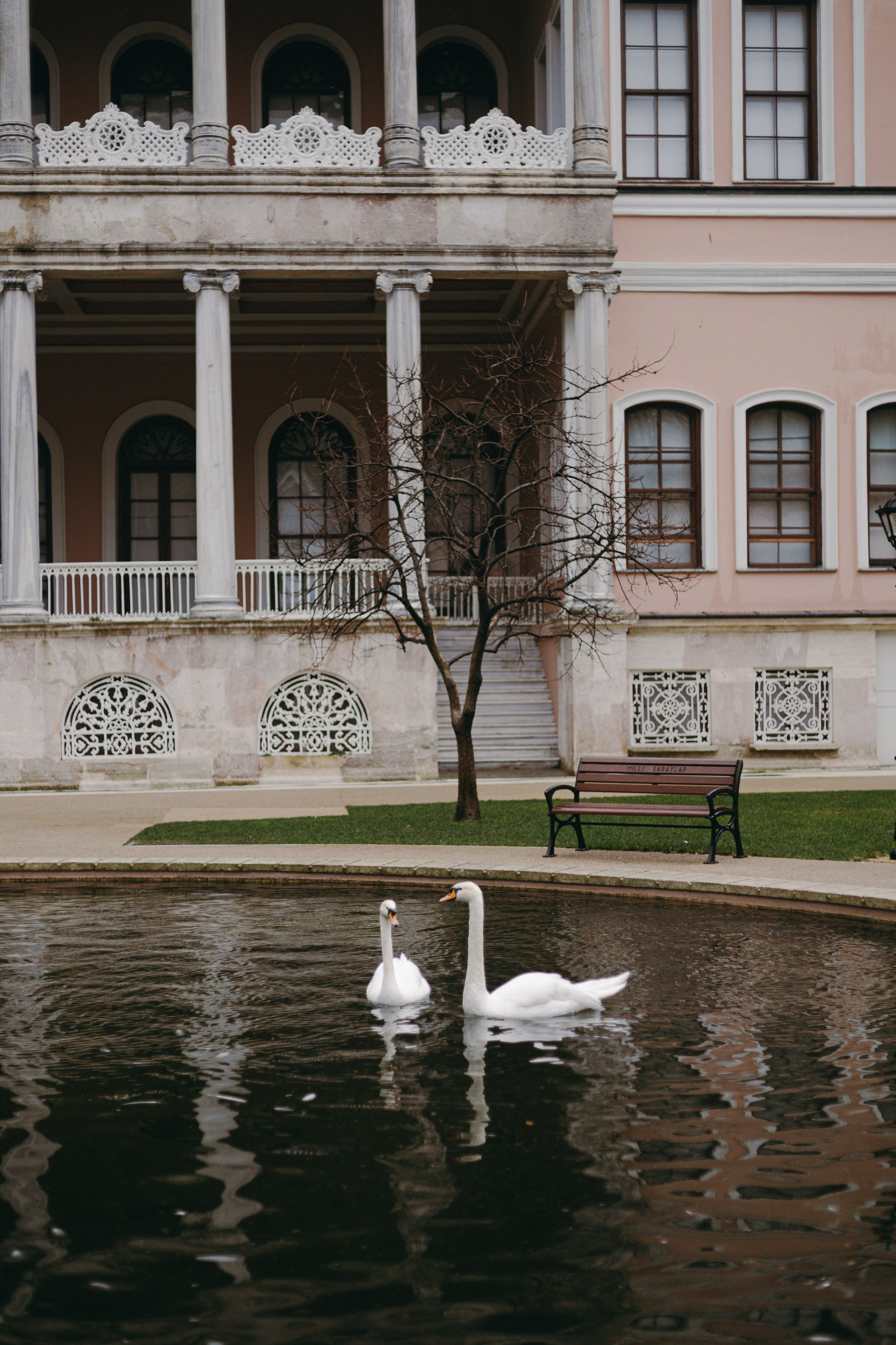 Стамбул. Профессиональный Фотограф во Владимире, в Москве и в Суздале — Полина Романычева