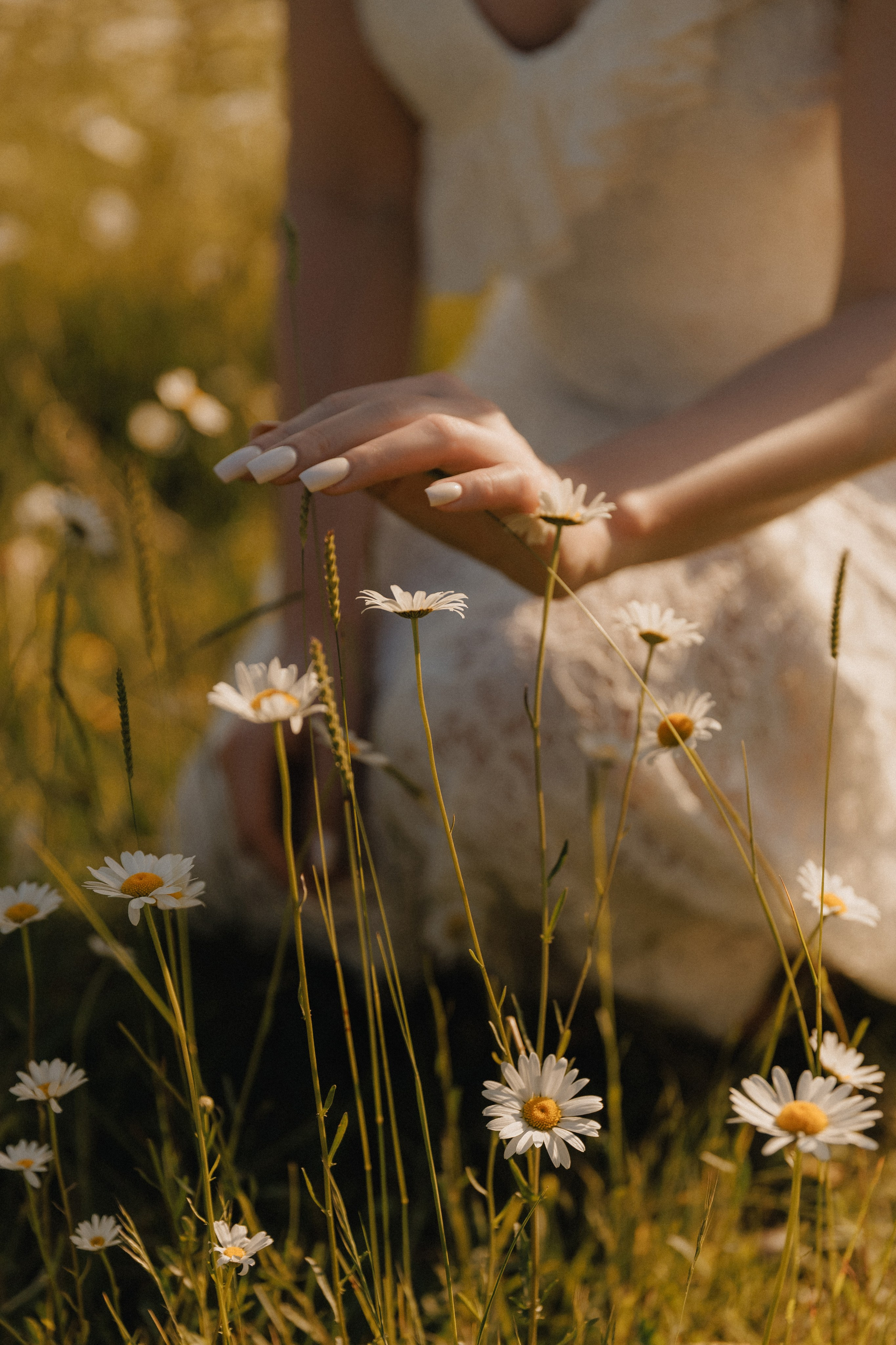 Привет, ромашки…. Свадебный, репортажный и портретный фотограф Сочи, Краснодар. Александра Зайцева