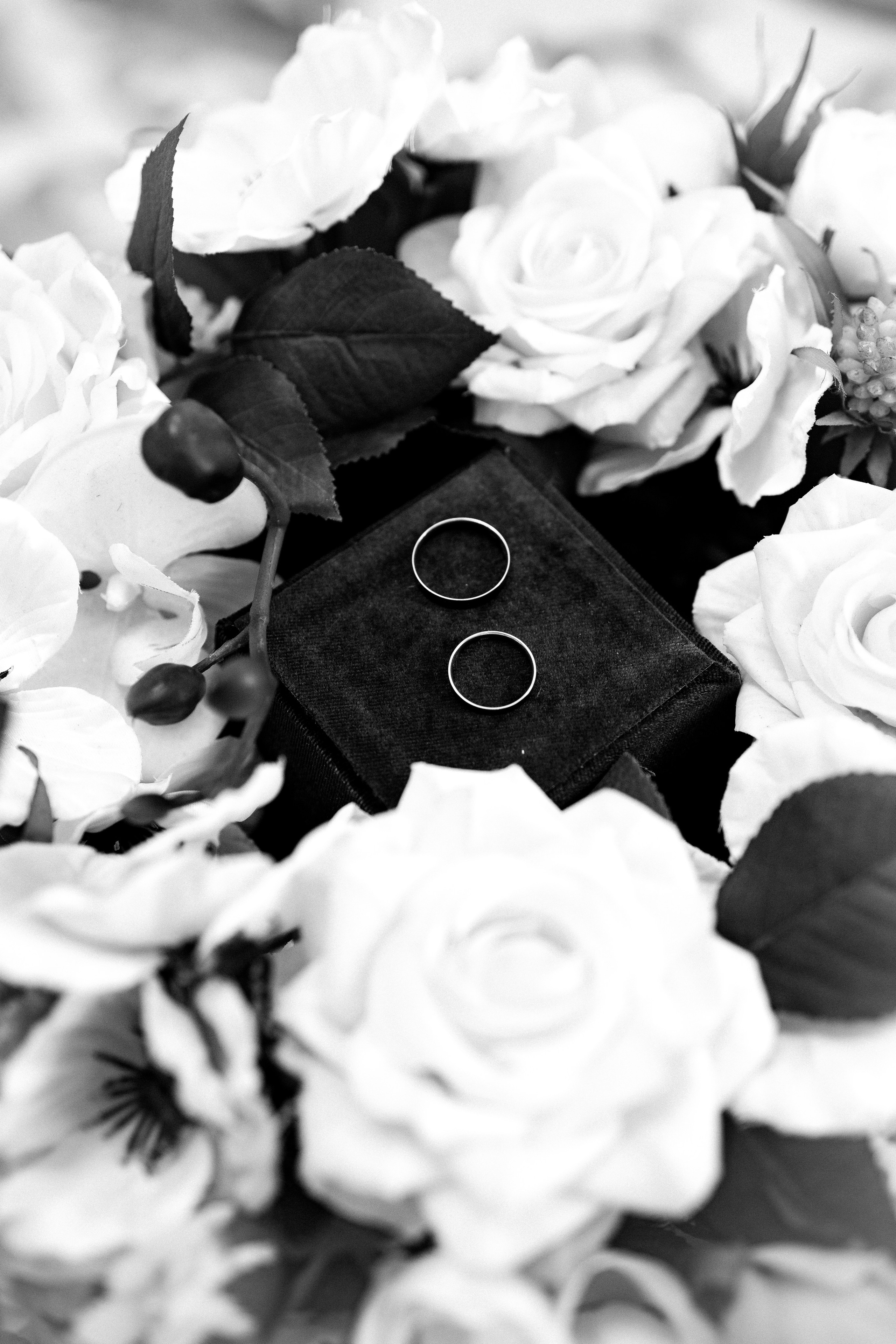 Иван & Дарья. Виктория Файфер| фотограф Новосибирск