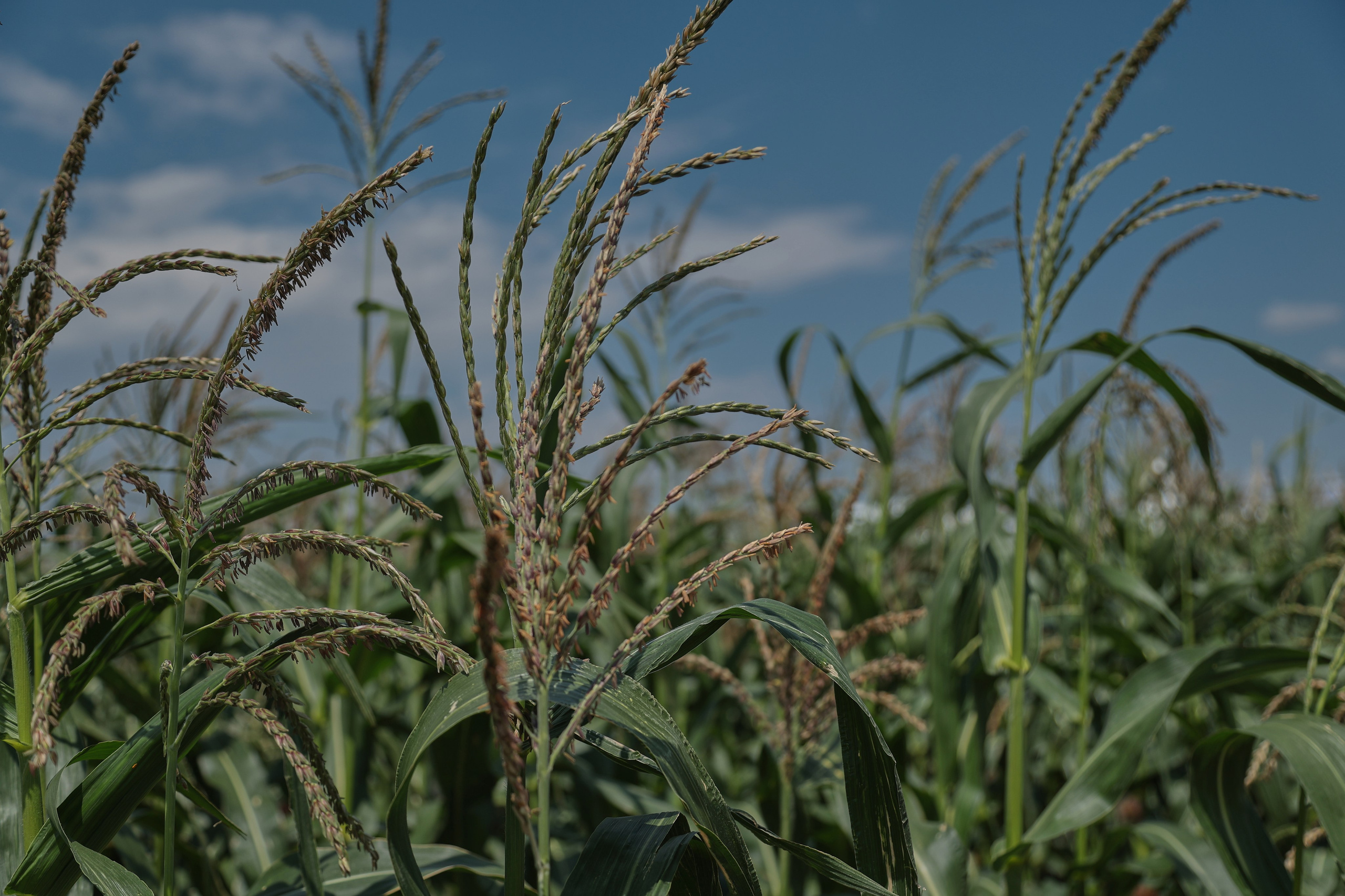 Репортаж. Женский и контент фотограф Данилина Ирина в Москве